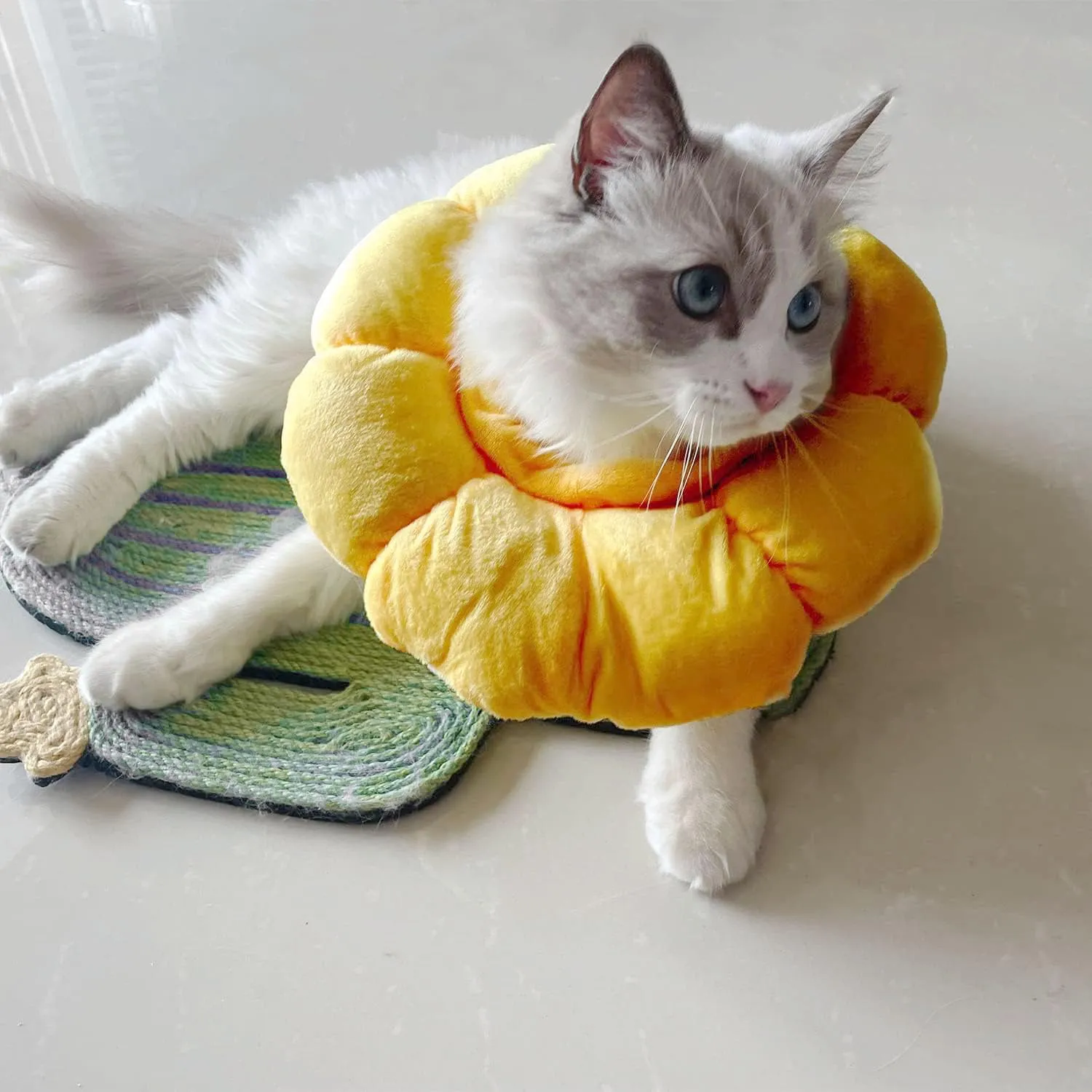 LATRAT Collare di Protezione Regolabile per Gatto e Piccolo Cane - Collaretto Girasole per Recupero e Guarigione delle Ferite Dopo Chirurgia, Taglia S - immagine 5