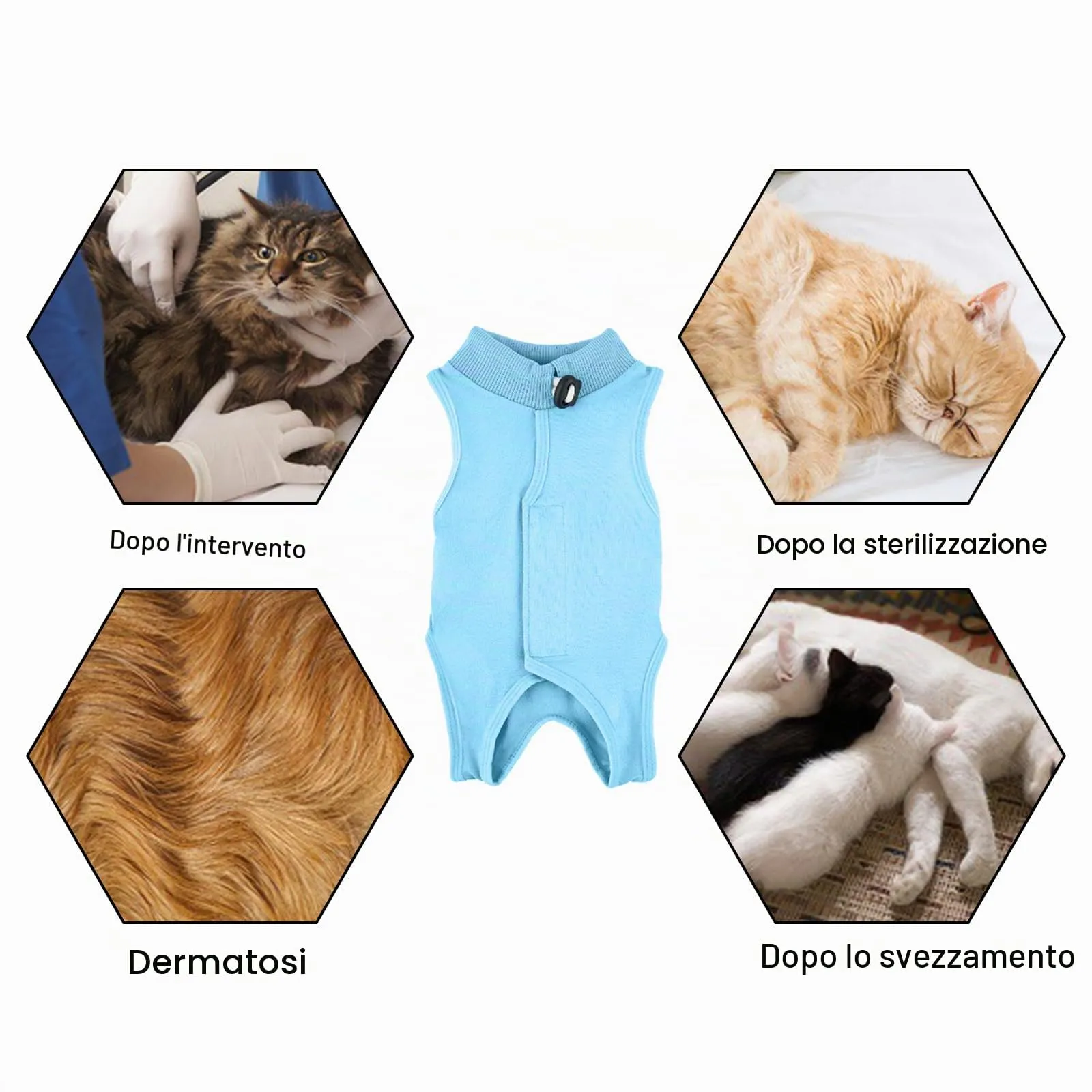 Amexo Tuta da Recupero per Gatti Tutina Post Operatoria per Cani Gatti Colletto Alternativo Anti-Leccato per Gattini Tutina Professionale per Ferite Addominali o Malattie per Animale (Blu, L) - immagine 5