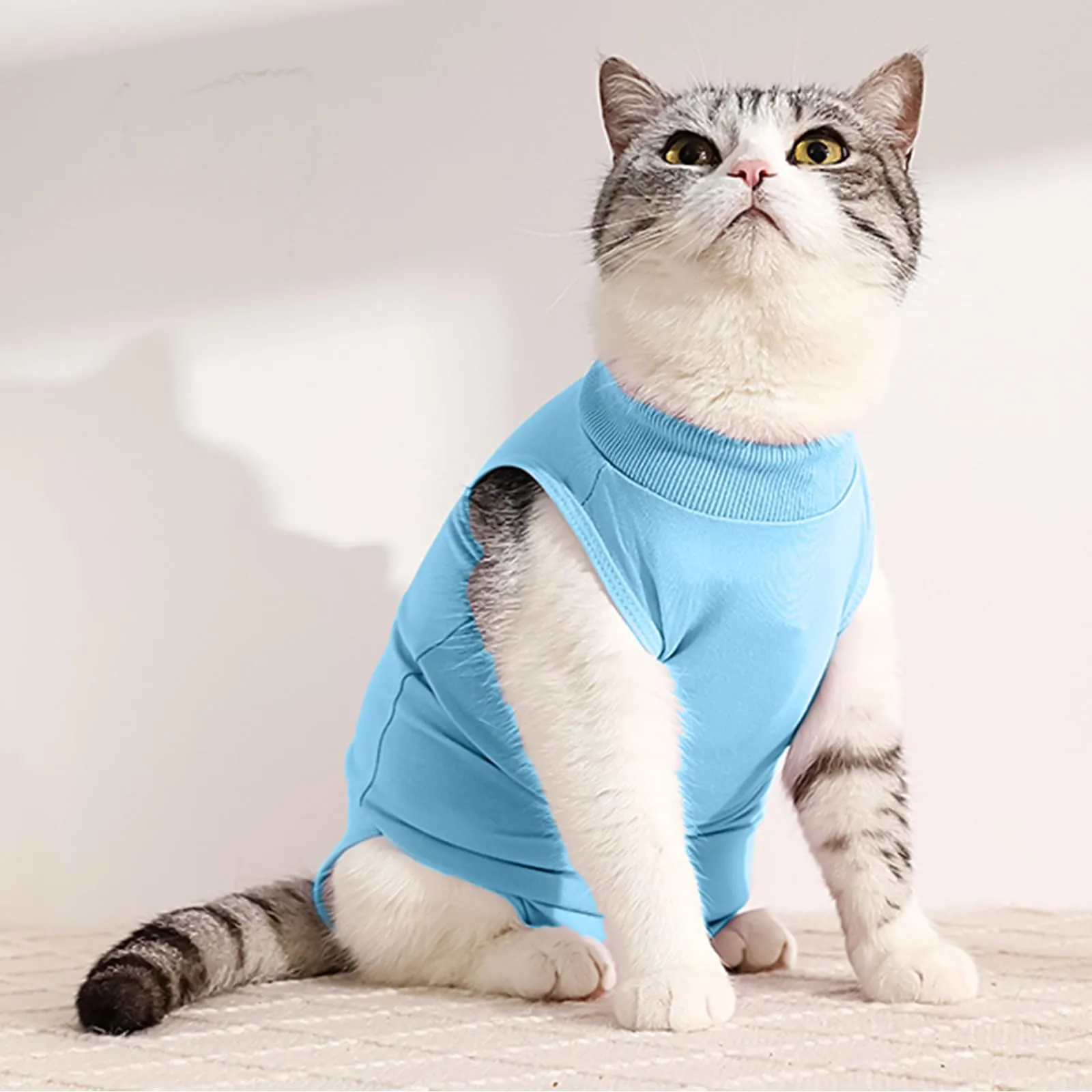 Amexo Tuta da Recupero per Gatti Tutina Post Operatoria per Cani Gatti Colletto Alternativo Anti-Leccato per Gattini Tutina Professionale per Ferite Addominali o Malattie per Animale (Blu, S) - immagine 3
