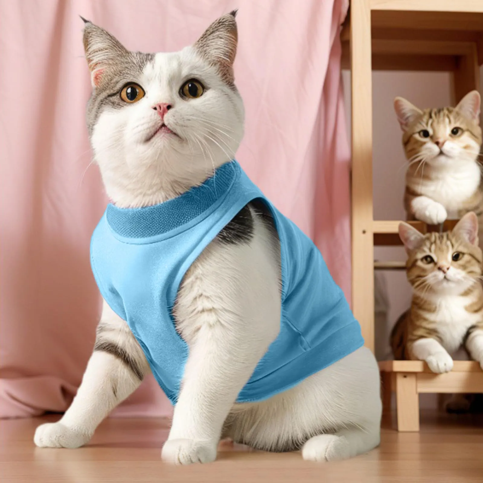 Amexo Tuta da Recupero per Gatti Tutina Post Operatoria per Cani Gatti Colletto Alternativo Anti-Leccato per Gattini Tutina Professionale per Ferite Addominali o Malattie per Animale (Blu, S) - immagine 4