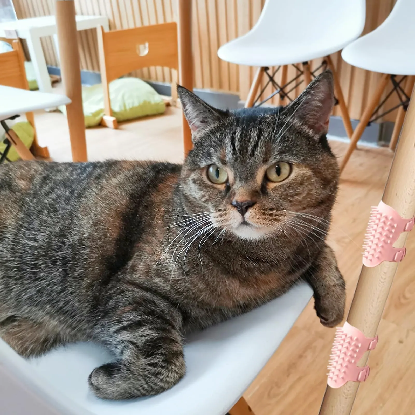 EUYKQNOI 2 Pezzi cat self groomer Angolo dei Massaggi per Gatti, Pet Self Grooming Pettine, Spazzola per Gatti Autopulente in Silicone, Angolo Massaggio per Gatti in Silicone,spazzola gatto - immagine 6