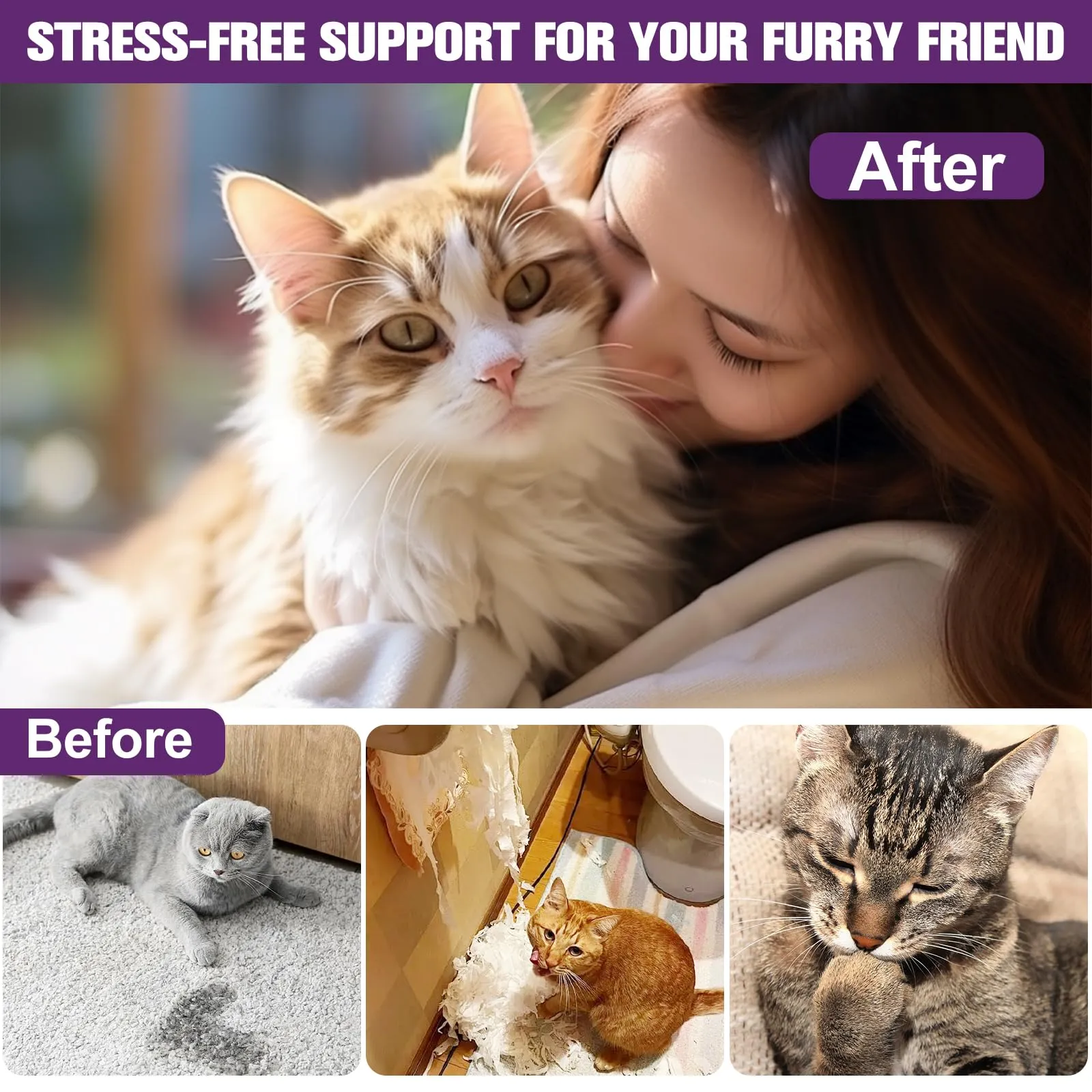 Sobirdos Kit Diffusore di Feromoni Calmanti per Gatti – 2 Diffusori + 4 Ricariche, Riduce l'Ansia e l'Urminazione Inappropriata, Ideale per Traslochi, Temporali e Nuovi Ambienti, Verde - immagine 4