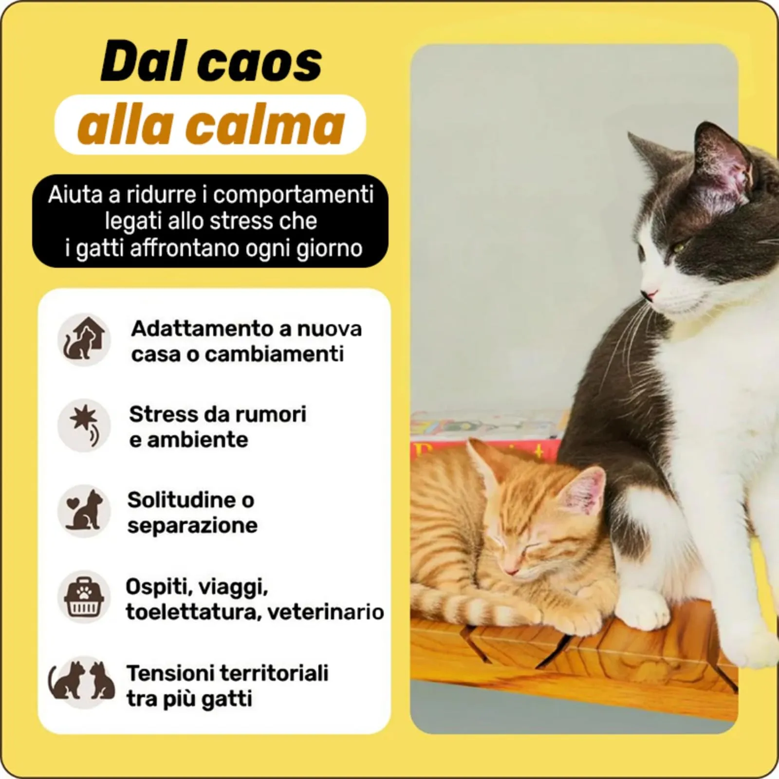 VOKAIS Argopet-s Feromoni Materni,Diffusore di Feromoni per Gatti, Due Set - immagine 3