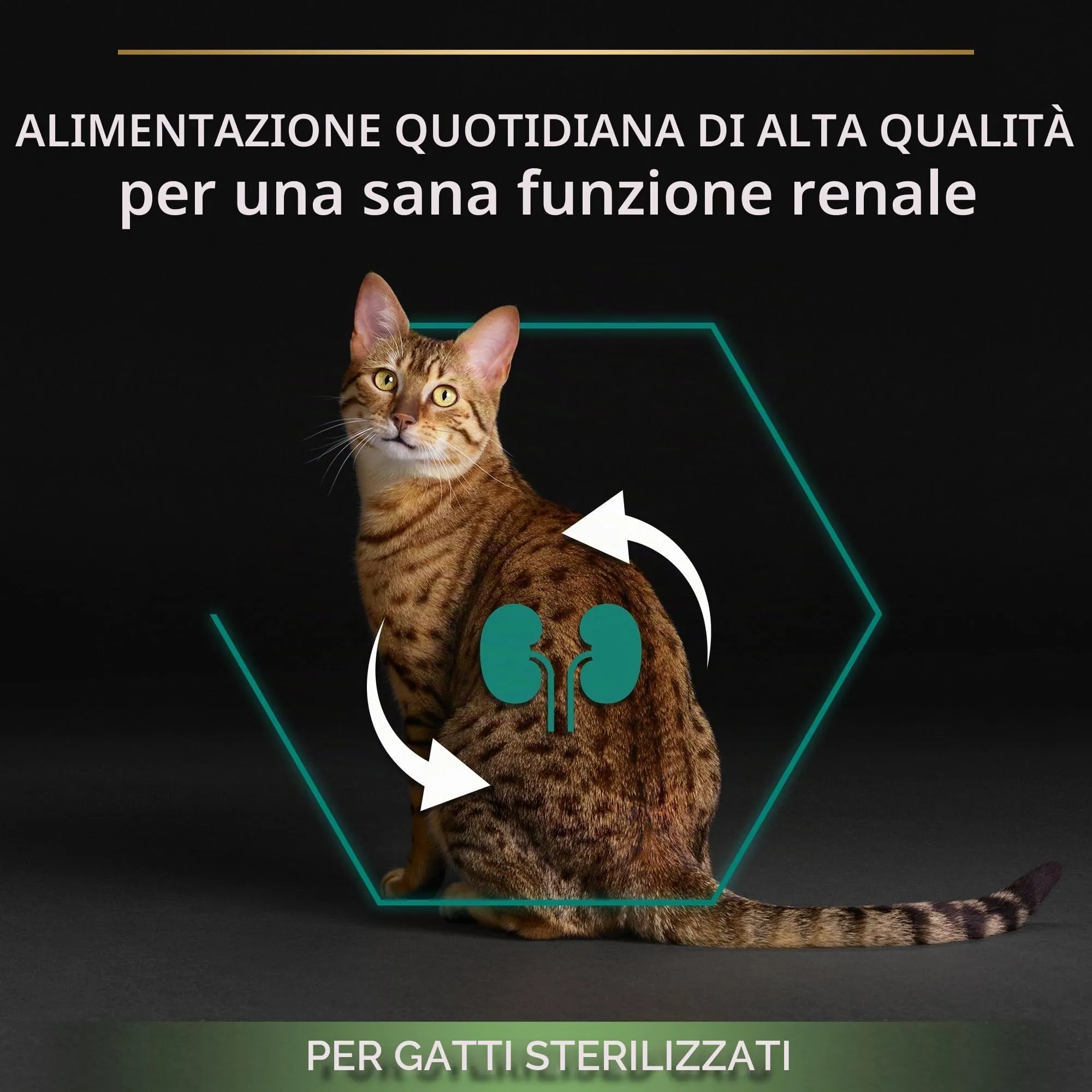 Purina Pro Plan Sterilised Renal Plus Crocchette Gatti Adulti Ricco in Tacchino 3kg - immagine 3