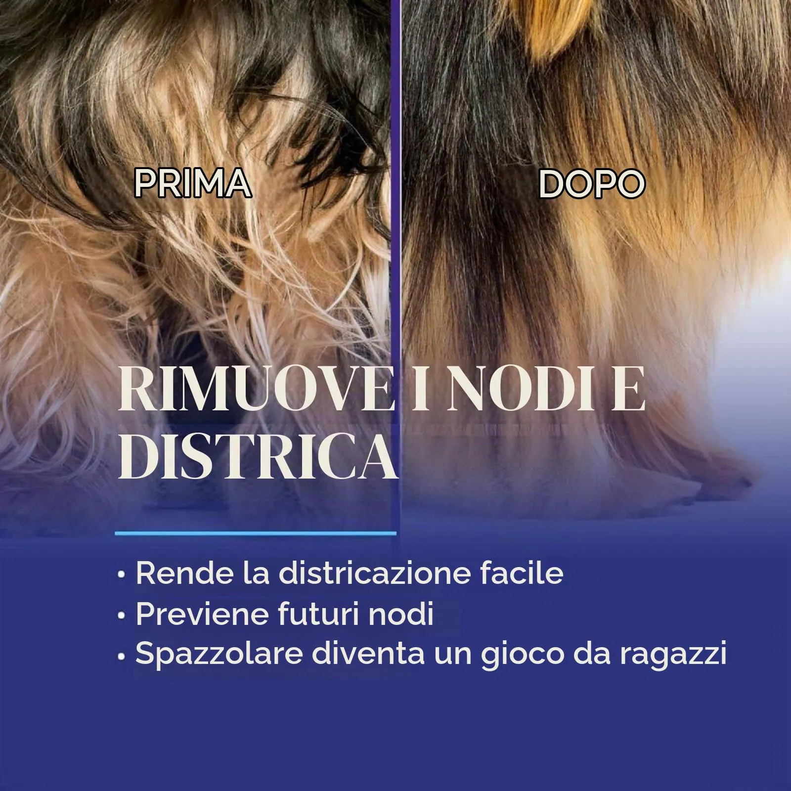Chris Christensen Ice On Ice Ready To Use 473ml – Spray Condizionante e Districante per Cani con Protezione Solare, Idratazione e Lucentezza Duratura, Protezione Dalla Polvere e Dallo Sporco - immagine 5