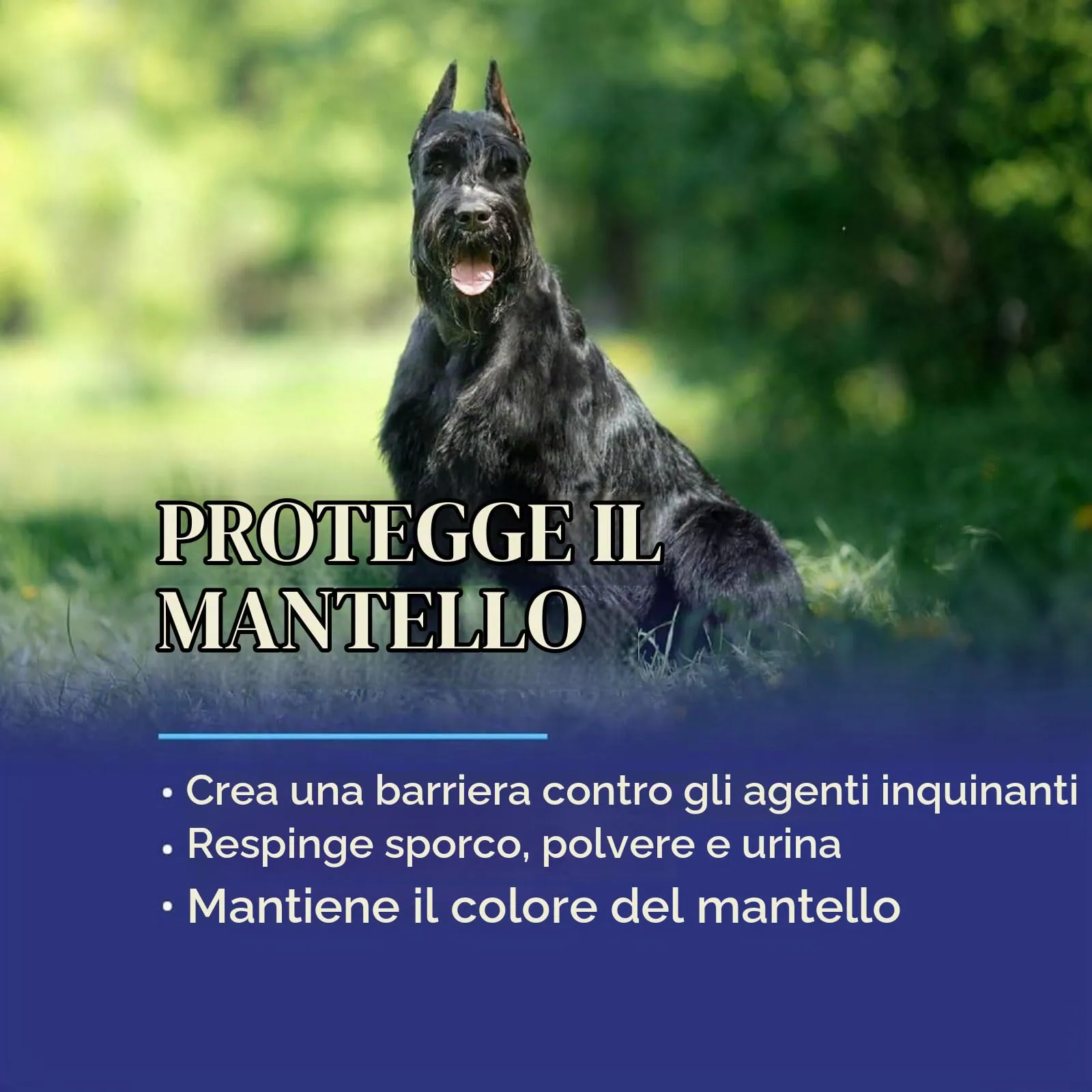 Chris Christensen Ice On Ice Ready To Use 473ml – Spray Condizionante e Districante per Cani con Protezione Solare, Idratazione e Lucentezza Duratura, Protezione Dalla Polvere e Dallo Sporco - immagine 6