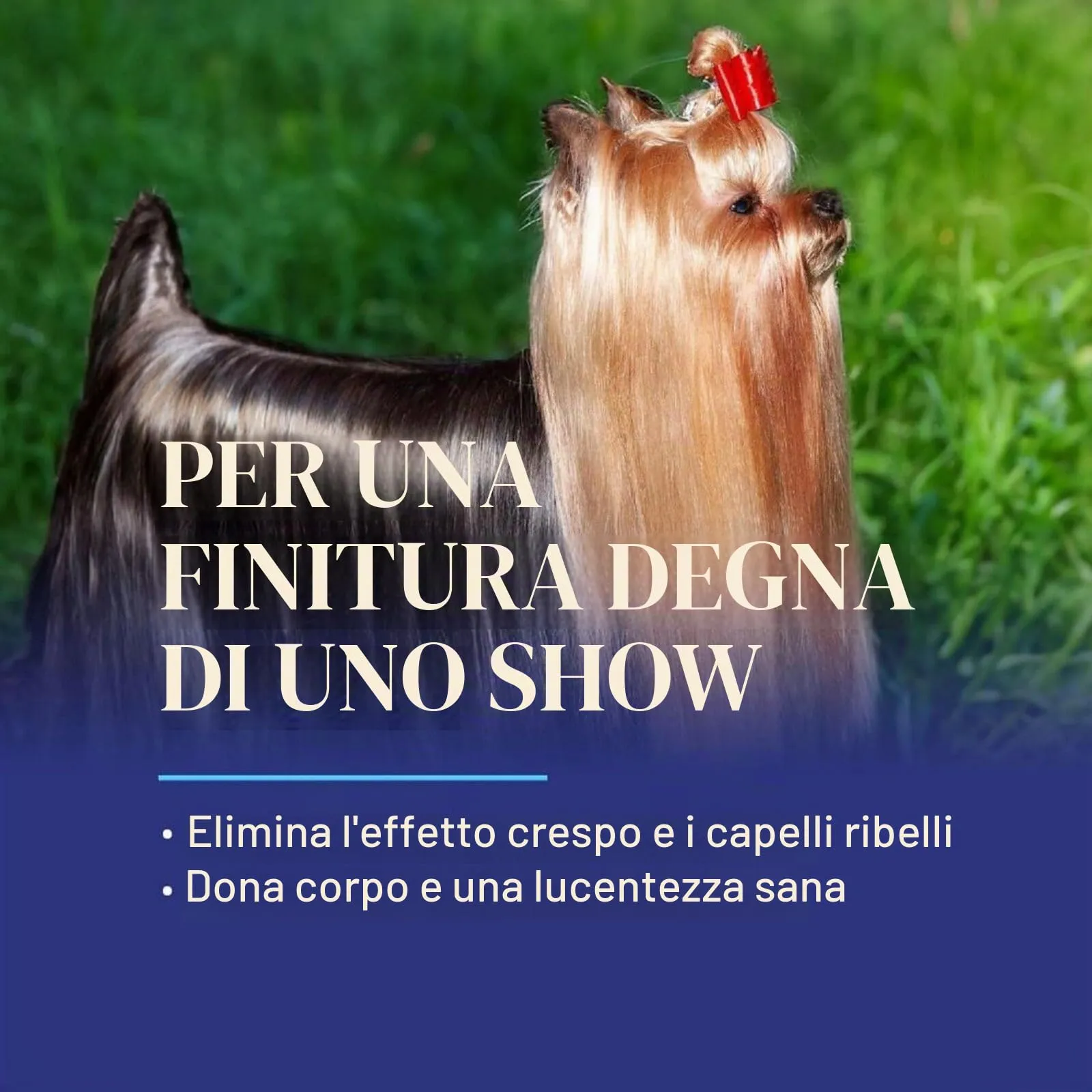 Chris Christensen Ice On Ice Ready To Use 473ml – Spray Condizionante e Districante per Cani con Protezione Solare, Idratazione e Lucentezza Duratura, Protezione Dalla Polvere e Dallo Sporco - immagine 7