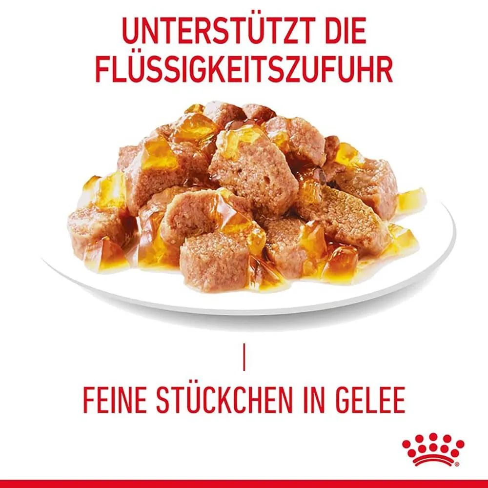 Royal Canin Light Weight Care in Gelatina | 12 x 85 g | Cibo umido per gatti | Per supportare i gatti in sovrappeso | Contiene ferro, manganese e zinco - immagine 5