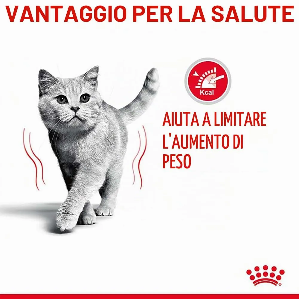 Royal Canin Light Weight Care in Gelatina | 12 x 85 g | Cibo umido per gatti | Per supportare i gatti in sovrappeso | Contiene ferro, manganese e zinco - immagine 7