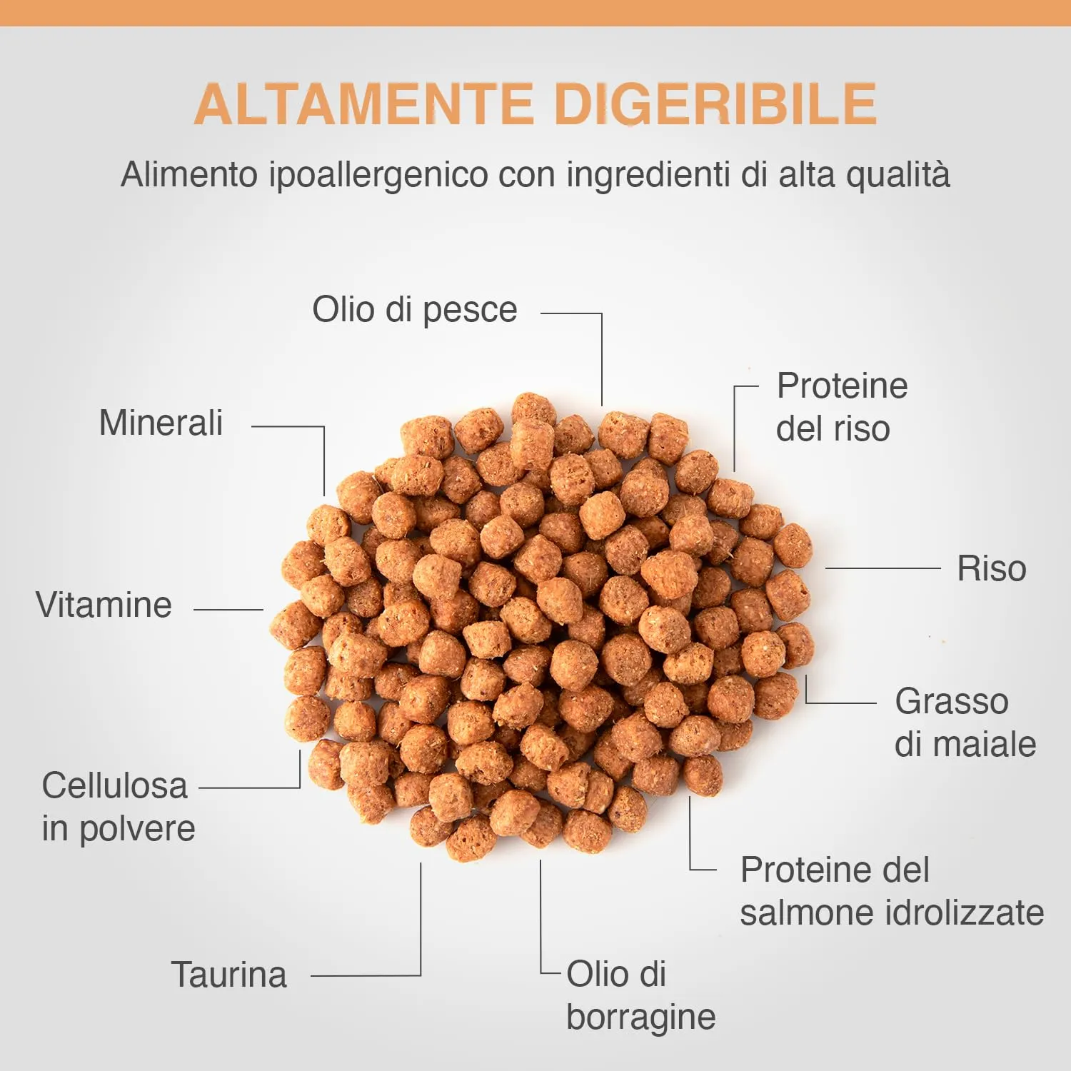 SPECIFIC® Allergen Management Plus (FOD-HY) 400 g - Cibo secco ipoallergenico per gatti pluriallergici di tutte le età- Contiene proteine idrolizzate - DECHRA Veterinary Products - immagine 3