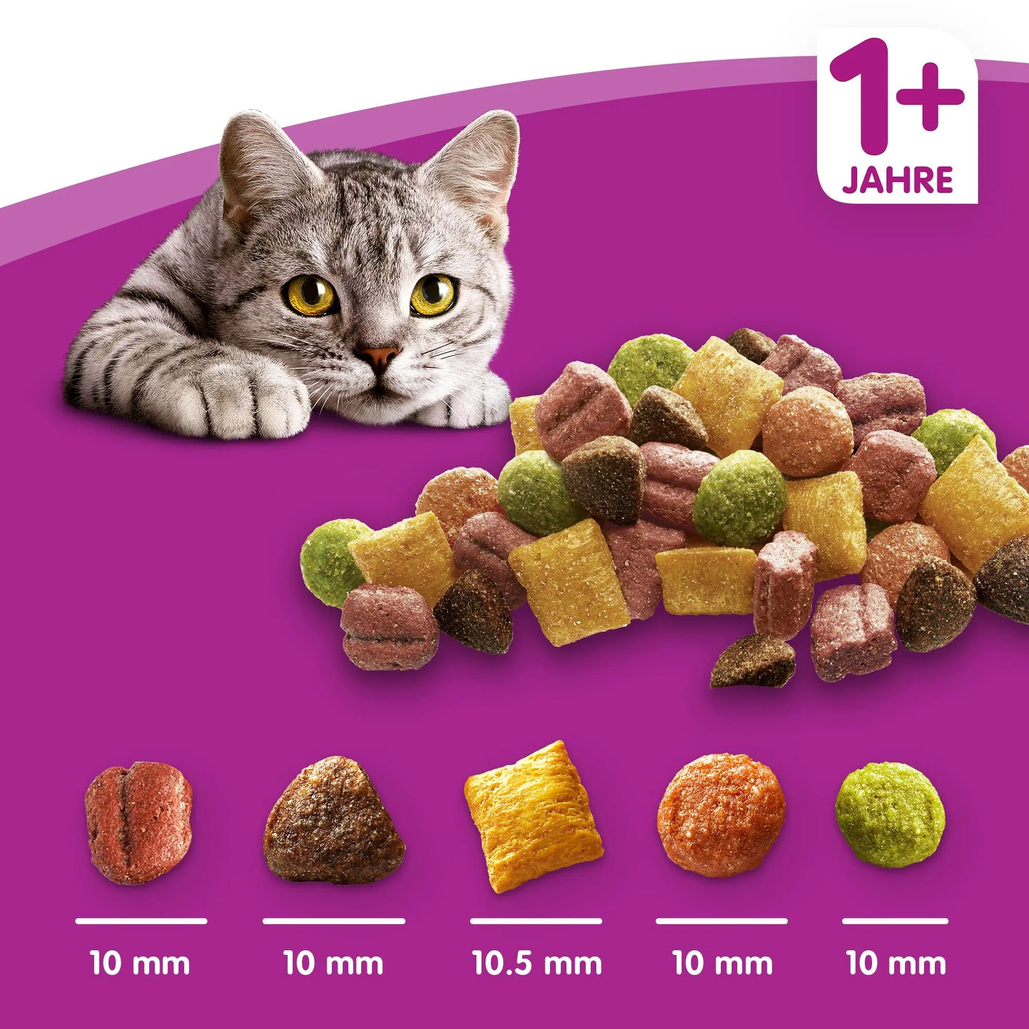 Whiskas Adult 1+ cibo secco pollo, 5 x 800 g (5 confezioni) – cibo secco per gatti adulti – diverse confezioni di prodotti disponibili - immagine 6