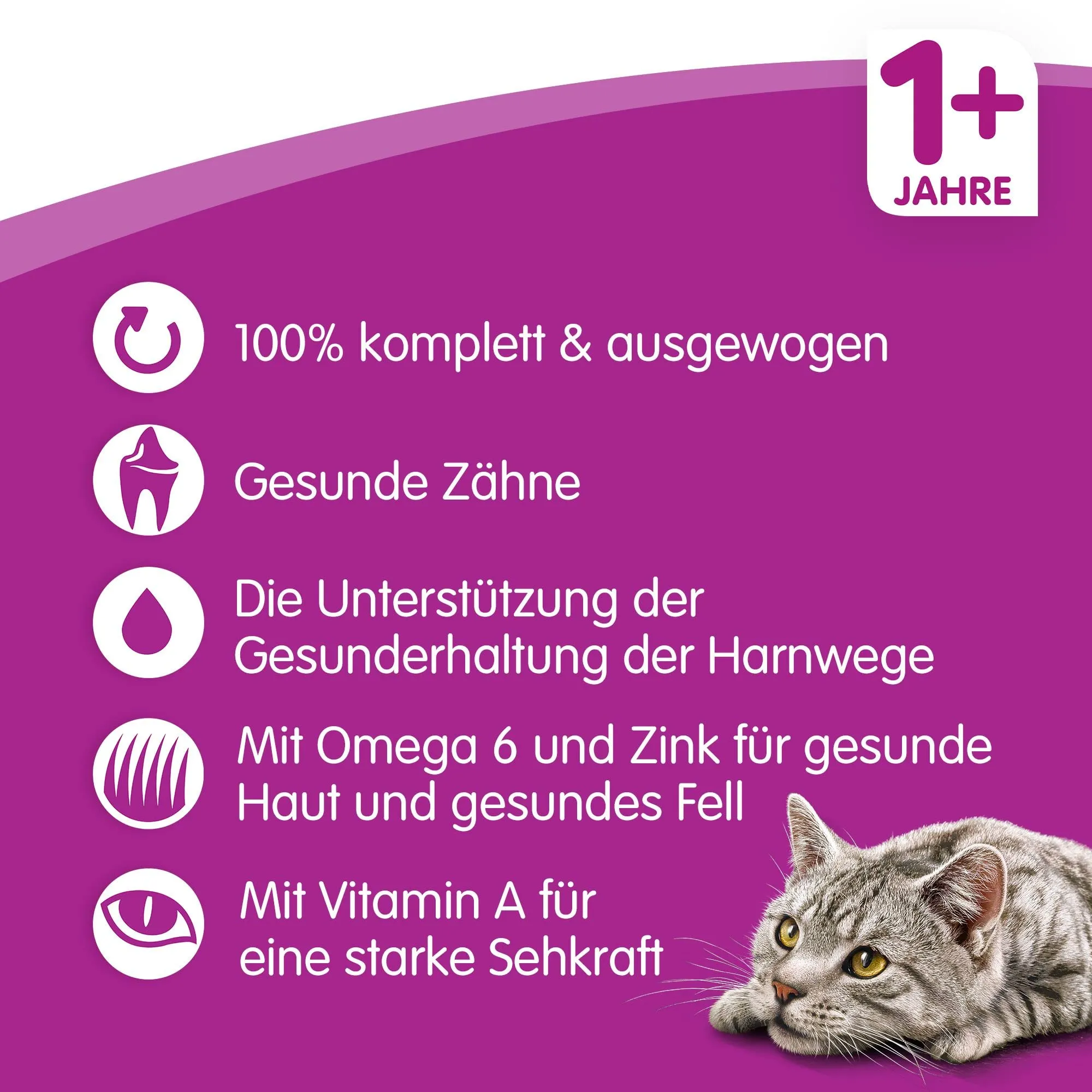 Whiskas Adult 1+ cibo secco pollo, 5 x 800 g (5 confezioni) – cibo secco per gatti adulti – diverse confezioni di prodotti disponibili - immagine 7