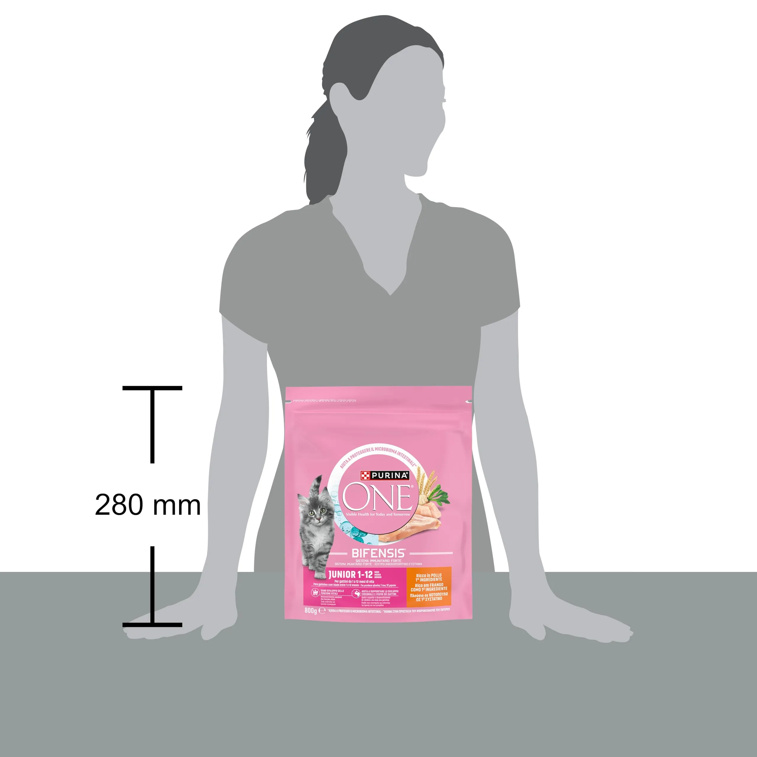 PURINA ONE Bifensis Junior, Crocchette per Gattini, 8 Sacchi da 800g - immagine 4