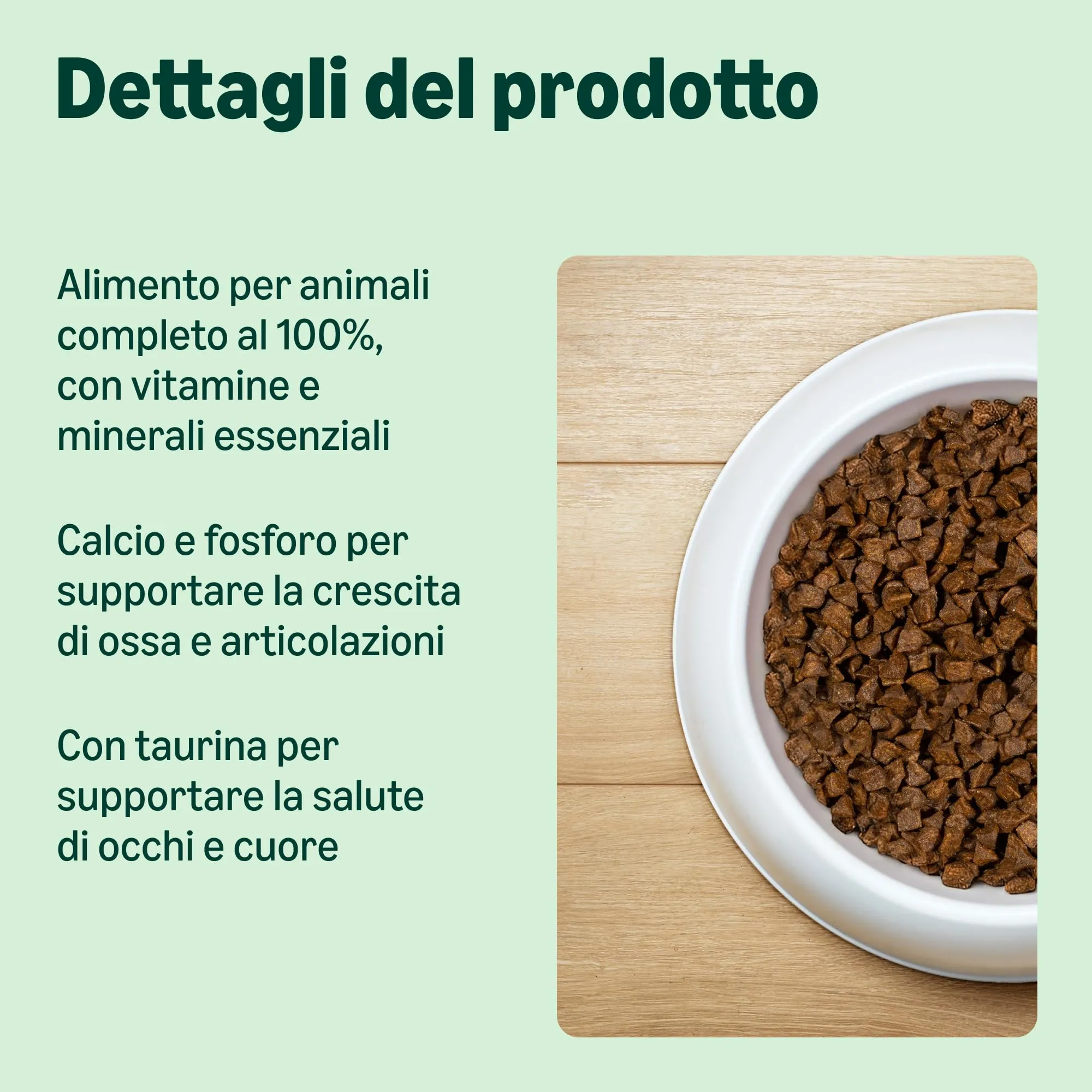by Amazon Alimento Secco per Cuccioli di Gatto con Pollo - immagine 2