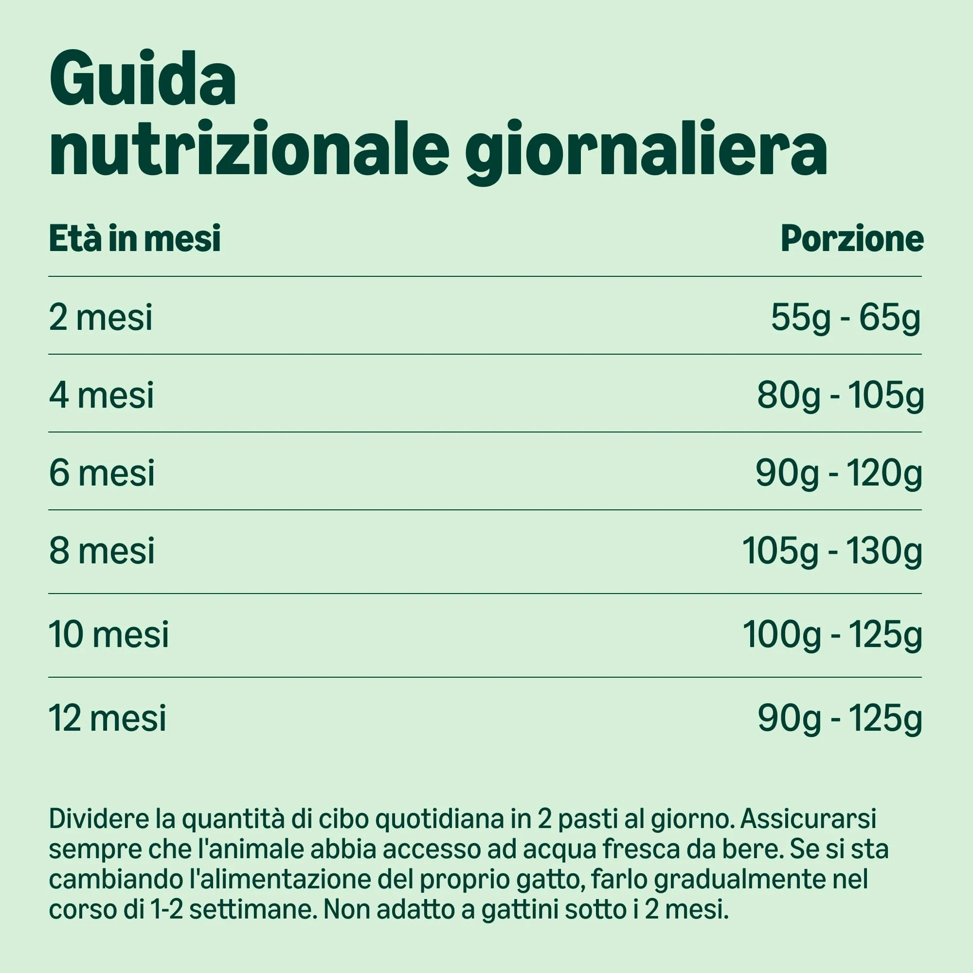 by Amazon Alimento Secco per Cuccioli di Gatto con Pollo - immagine 4