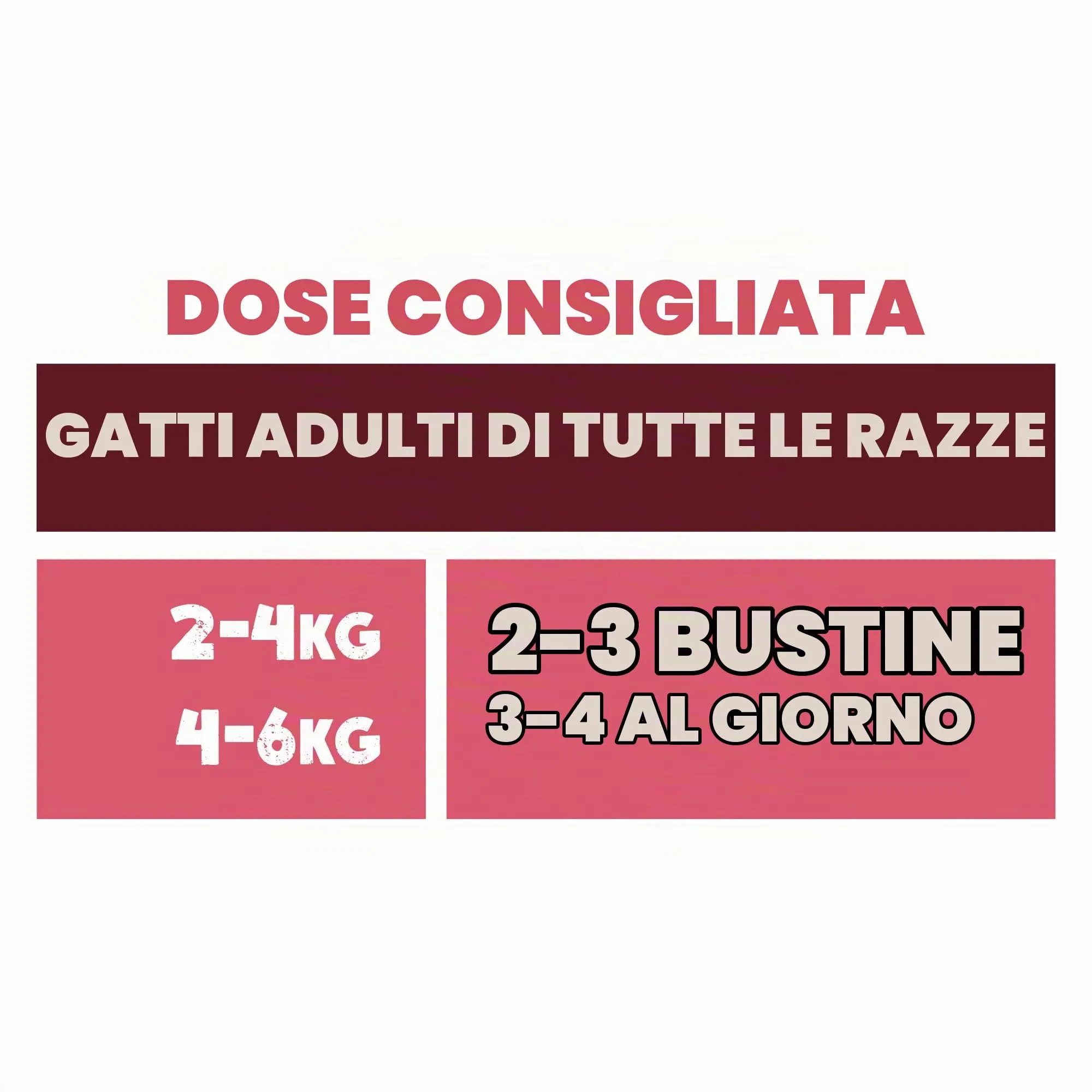 Animal Island Everyday Alimento Umido per Gatto Adulto Filetti Sfilacciati in Brodo 2x Pollo 2x Manzo Completo Senza Cereali Tutte le Razze, 4 x 85g - immagine 7