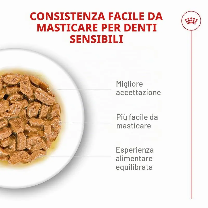 ROYAL CANIN AGEING 15+ Gravy | 12 x 85 g | Cibo umido per gatti senior dai 15 anni in su | Formula con HealthyAge7™ Advanced Complex | Bocconcini in salsa - immagine 5
