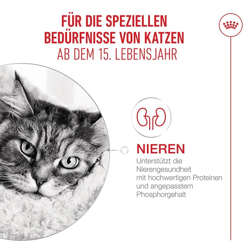 ROYAL CANIN AGEING 15+ Gravy | 12 x 85 g | Cibo umido per gatti senior dai 15 anni in su | Formula con HealthyAge7™ Advanced Complex | Bocconcini in salsa - immagine 7