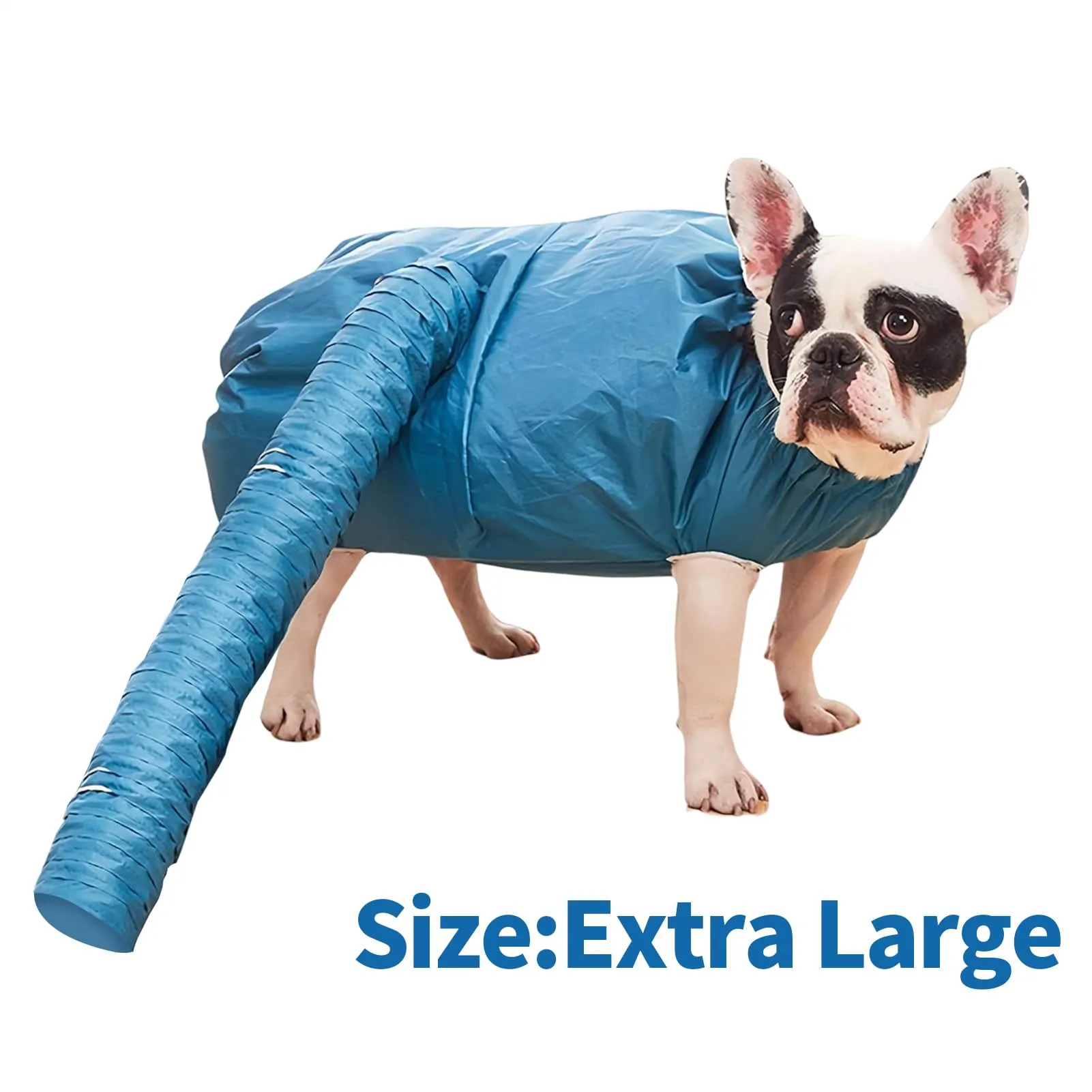 Asciugatore A Borsa Per Cani | Kit Toelettatura Asciugante Per Animali Domestici | Borsa Asciugatrice Silenziosa E Veloce Per Casa Bagno Doccia Cuccioli E Gattini | Toelettatura Per Gatti In Bagno - immagine 6