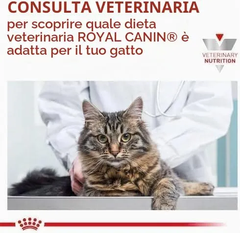 Royal Canin Veterinary Sensitivity Control | Confezione da 4 | 4 x 12 x 85 g | Alimento dietetico completo per gatti adulti | Per ridurre i sintomi di intolleranza ai nutrienti - immagine 9