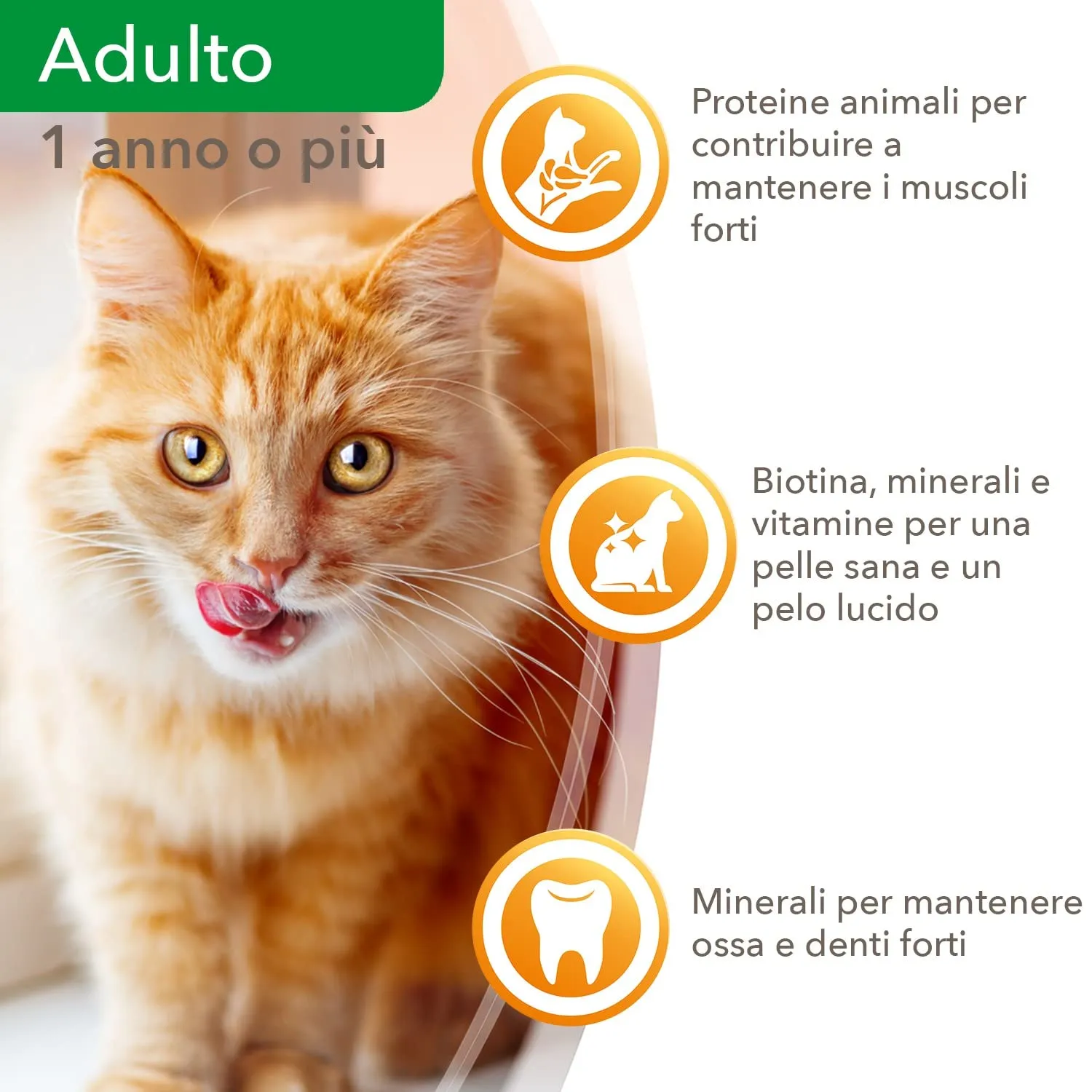 IAMS Delights - Cibo umido per gatti con tonno e aringa, 24 x 85 g - immagine 4