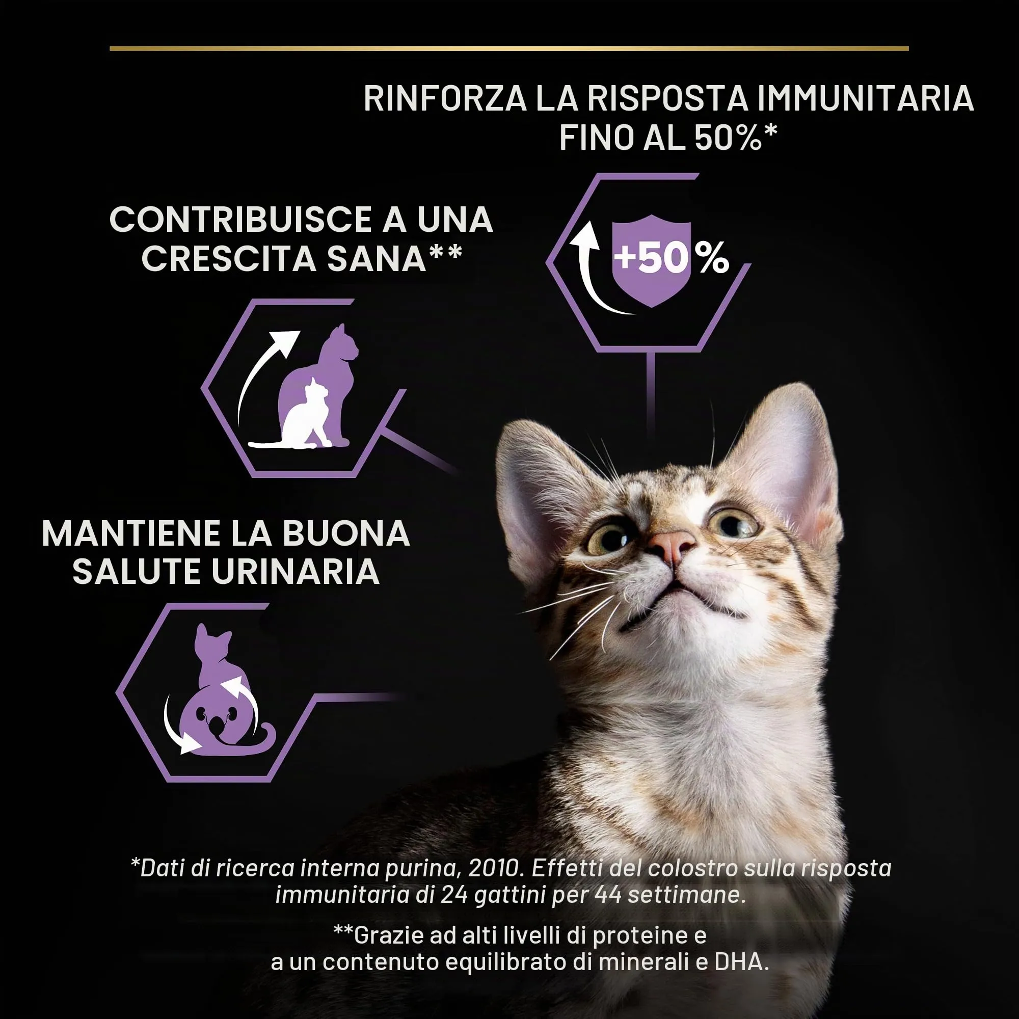 Purina Pro Plan Sterilised Kitten Healthy Start Crocchette Gattini Ricco in Salmone 3 kg - immagine 4