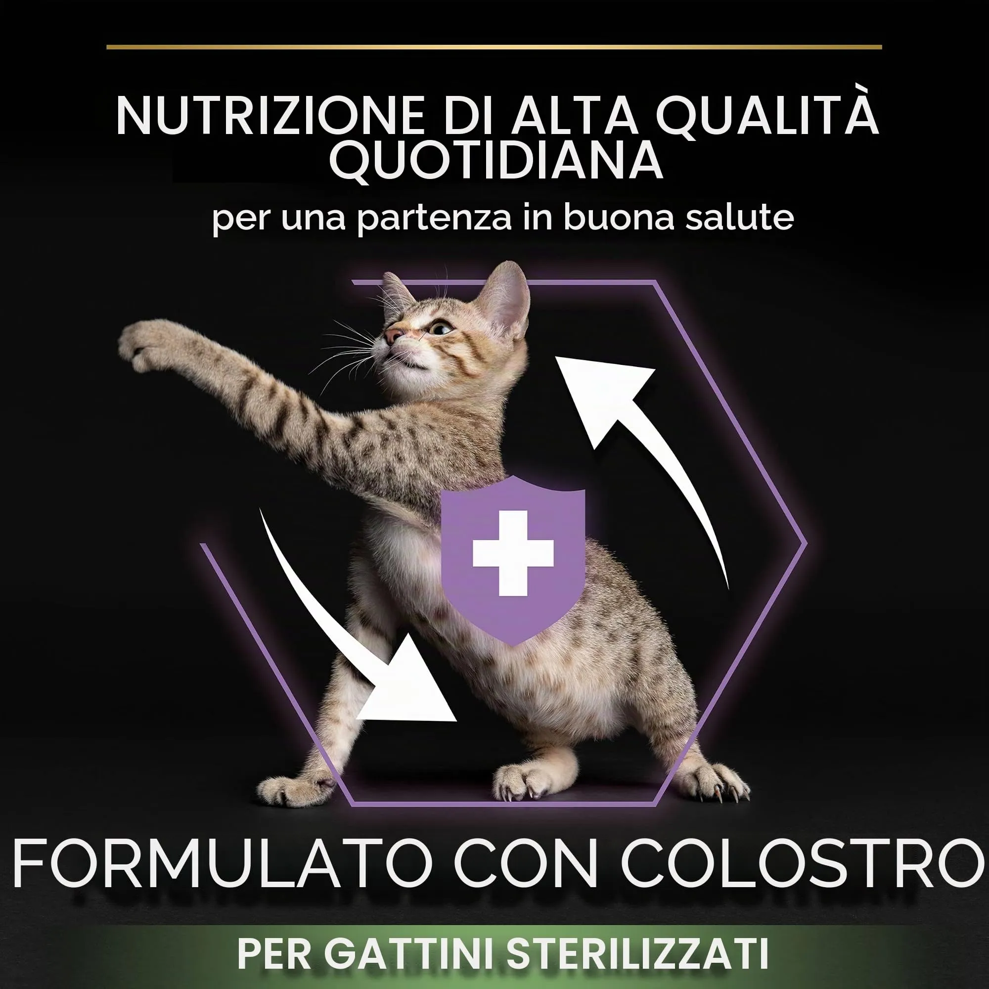 Purina Pro Plan Sterilised Kitten Healthy Start Crocchette Gattini Ricco in Salmone 3 kg - immagine 5
