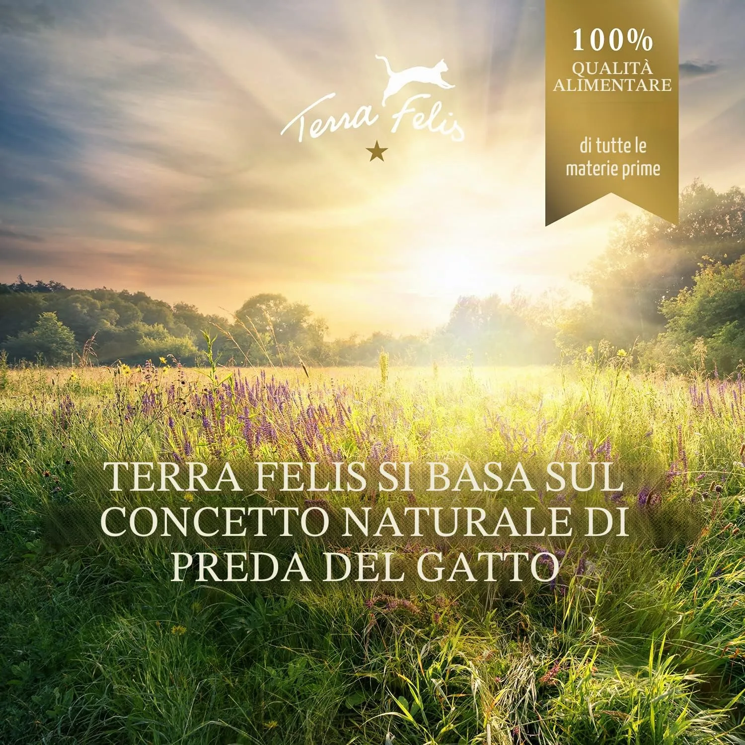 Terra Felis Manzo & Coniglio, Famousse cibo umido per gatti, 200g - immagine 3
