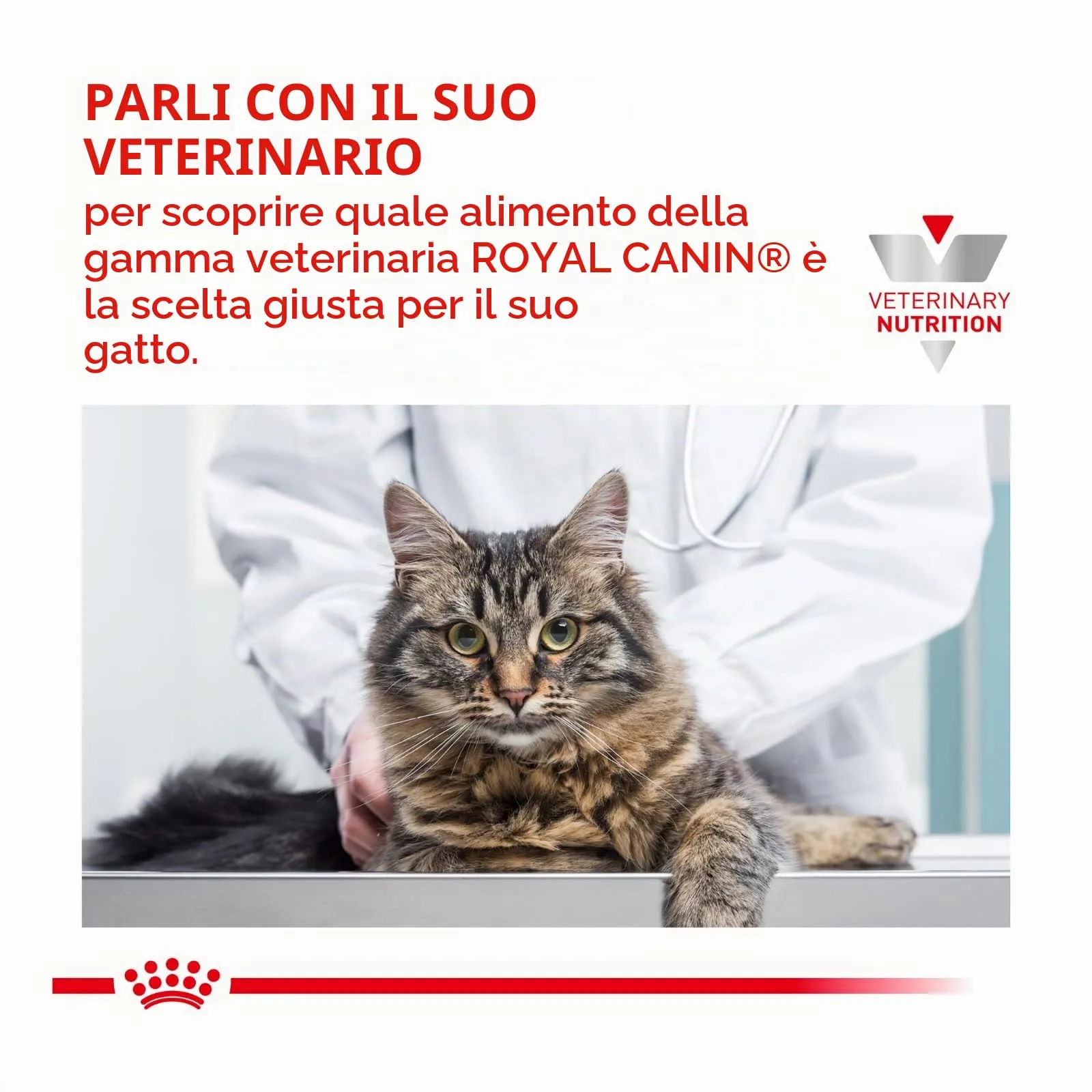 Royal Canin - Satiety Weight Management Kattenvoer Nat - 24 x 85 gr - immagine 8
