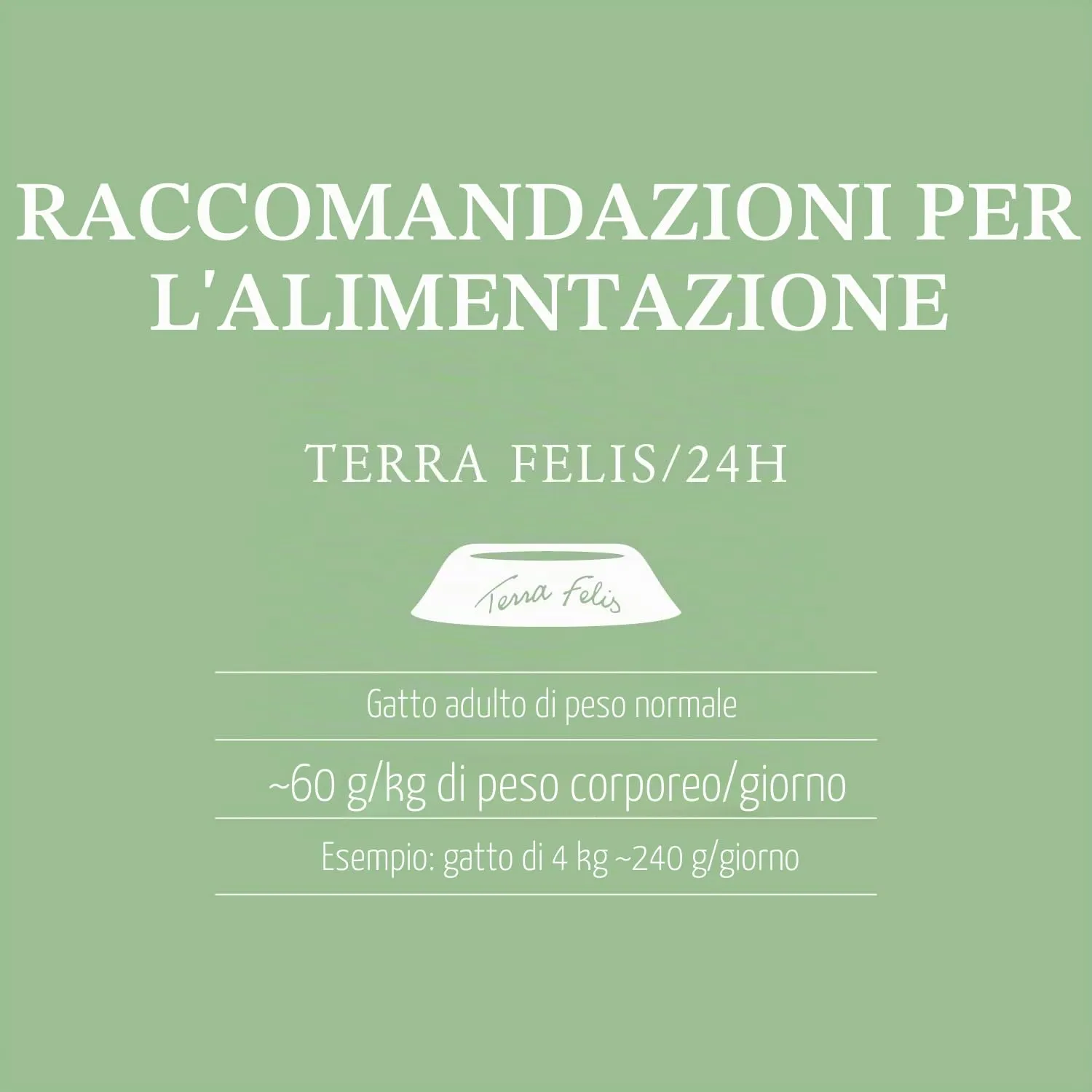 Terra Felis Manzo & Coniglio, Famousse cibo umido per gatti, 12x80g - immagine 3