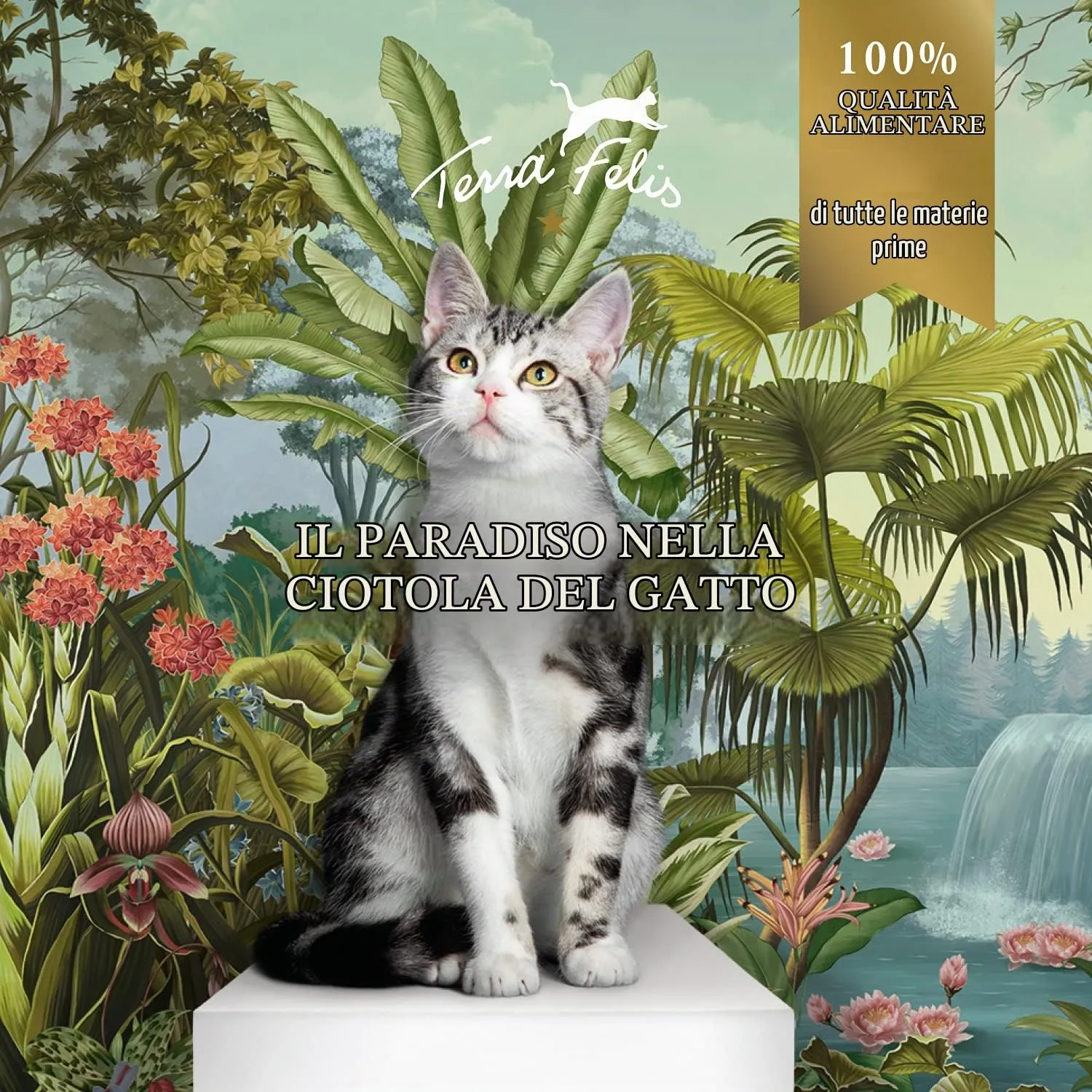 Terra Felis Coniglio & Tacchino, Famousse cibo umido per gatti, 12x80g - immagine 2