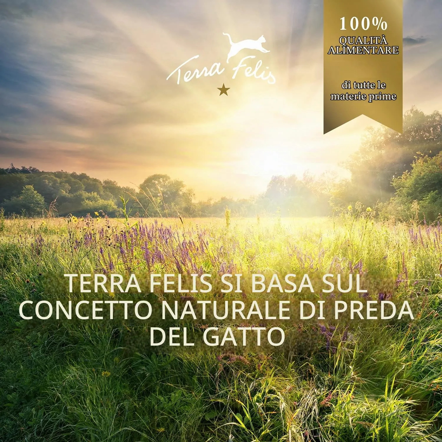 Terra Felis Coniglio & Tacchino, Famousse cibo umido per gatti, 12x80g - immagine 3
