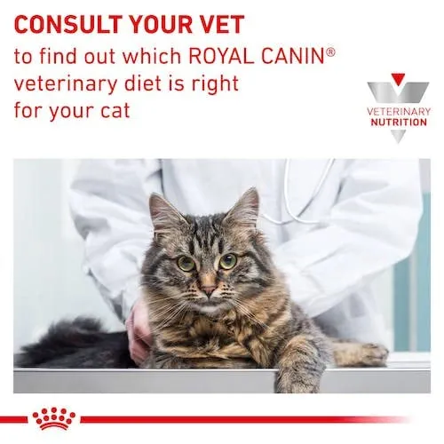 Royal Canin Veterinary Sensitivity Control | Confezione doppia | 2 x 12 x 85 g | Alimento dietetico completo per gatti adulti | Per ridurre i sintomi di intolleranza ai nutrienti - immagine 4