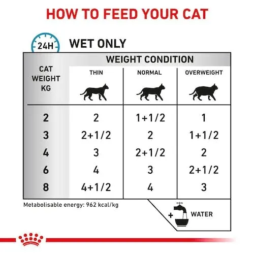 Royal Canin Veterinary Sensitivity Control | Confezione doppia | 2 x 12 x 85 g | Alimento dietetico completo per gatti adulti | Per ridurre i sintomi di intolleranza ai nutrienti - immagine 5