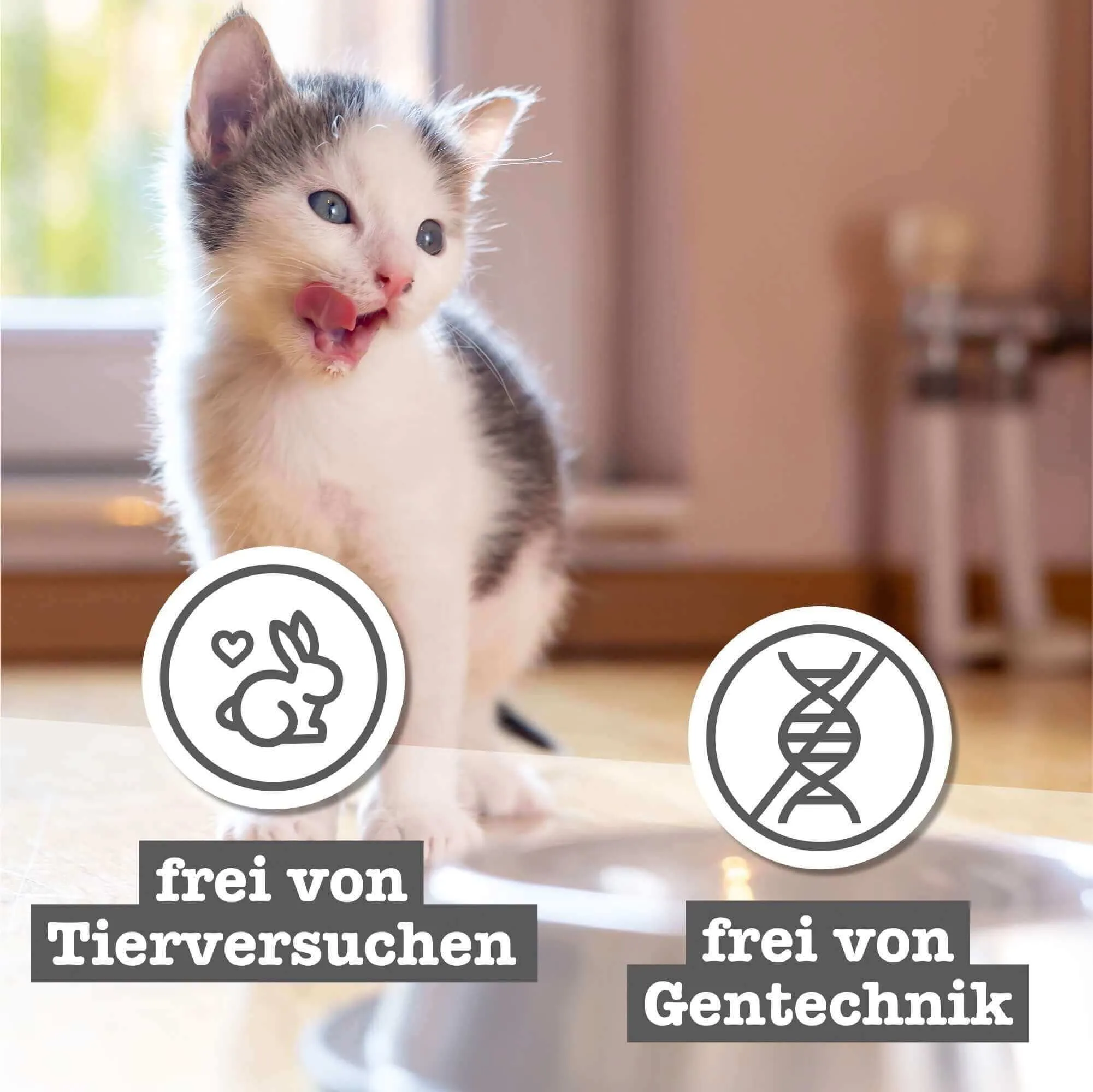 catz finefood Kitten Multipack cibo umido per gatti – Cibo umido per giovani gatti senza cereali e zucchero ad alta percentuale di carne (6 barattoli da 200 g) - immagine 6