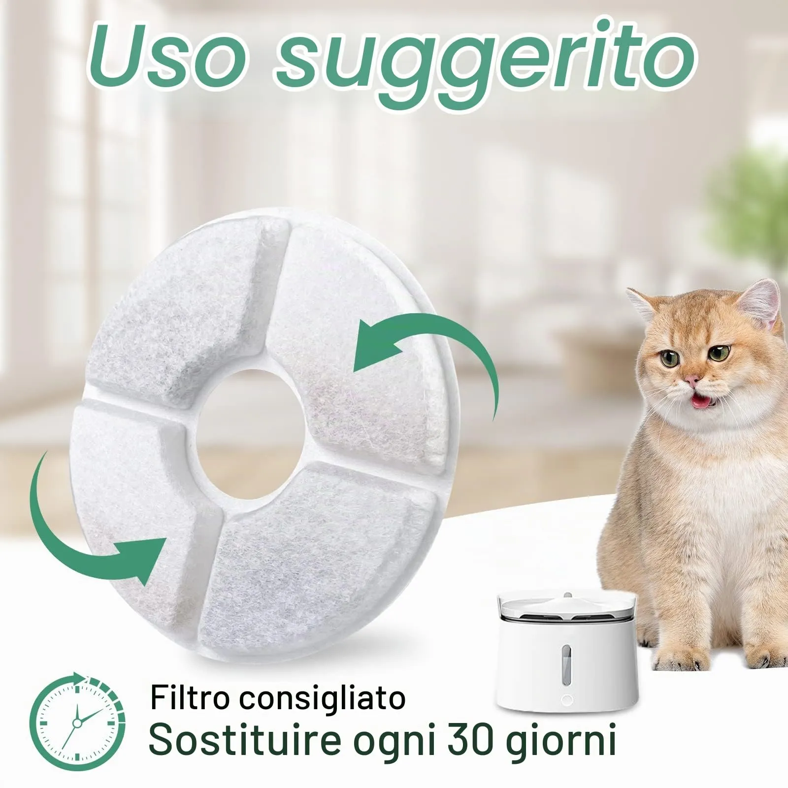 Fousenuk 10 PCS Filtri Fontanella per Gatti, per 2-2.5L Dispenser Acqua - immagine 5