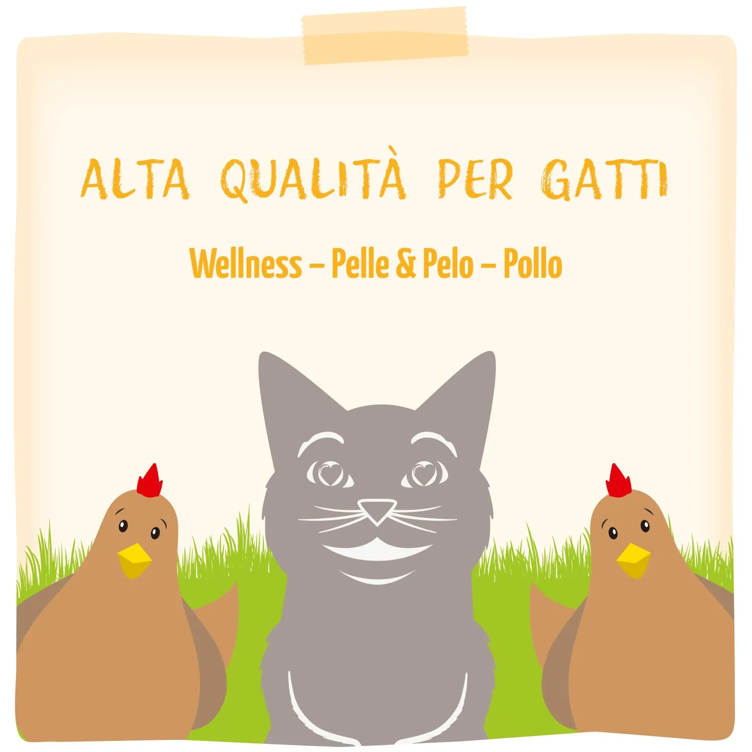 MjAMjAM - Cibo umido premium per gatti - Wellness - Skin & Fur - Pollo, confezione da 12 (12 x 125g), senza cereali - immagine 5