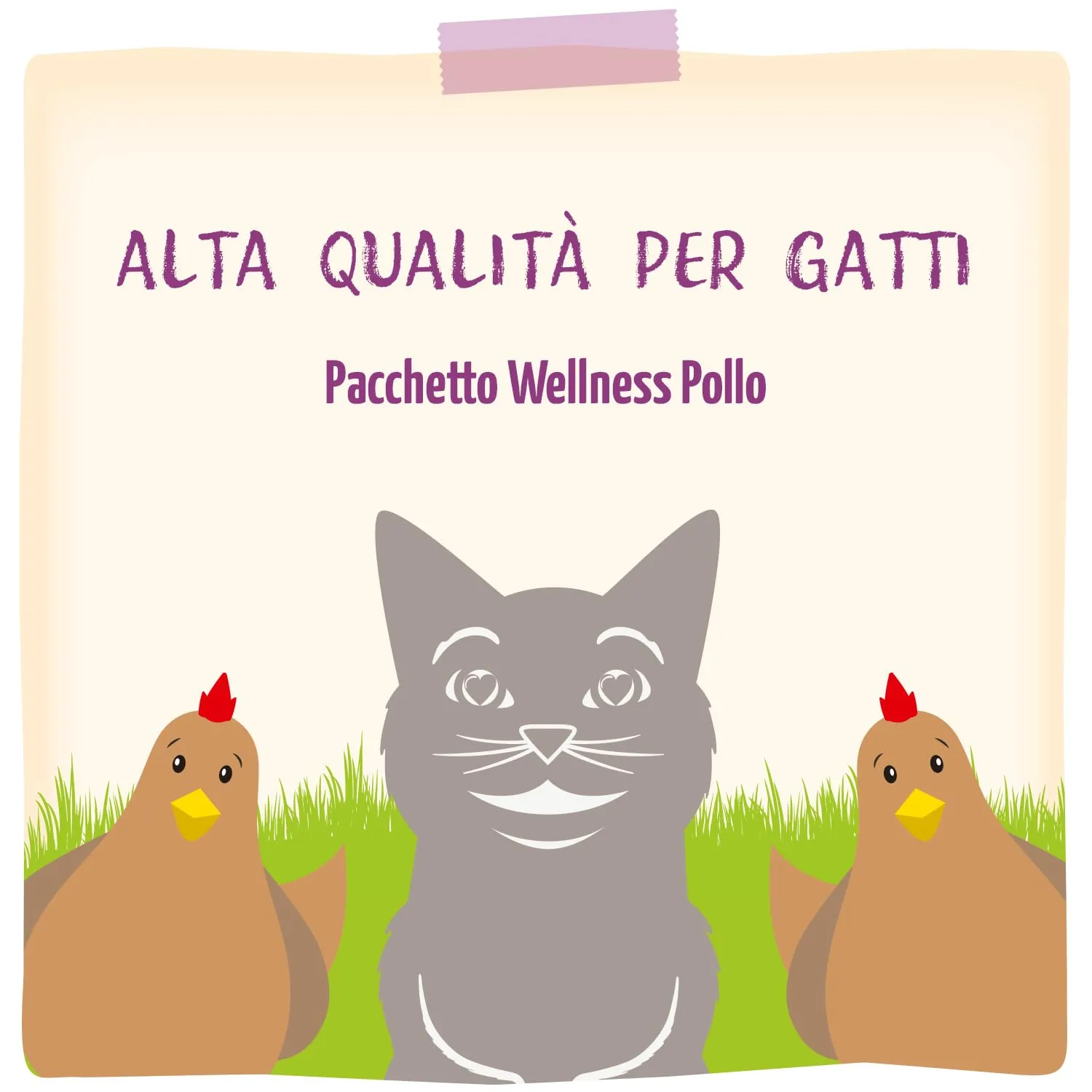 MjAMjAM - Cibo umido premium per gatti - Wellness Wellness Pack pollo, confezione da 12 (12 x 125g), senza cereali con carne extra - immagine 6