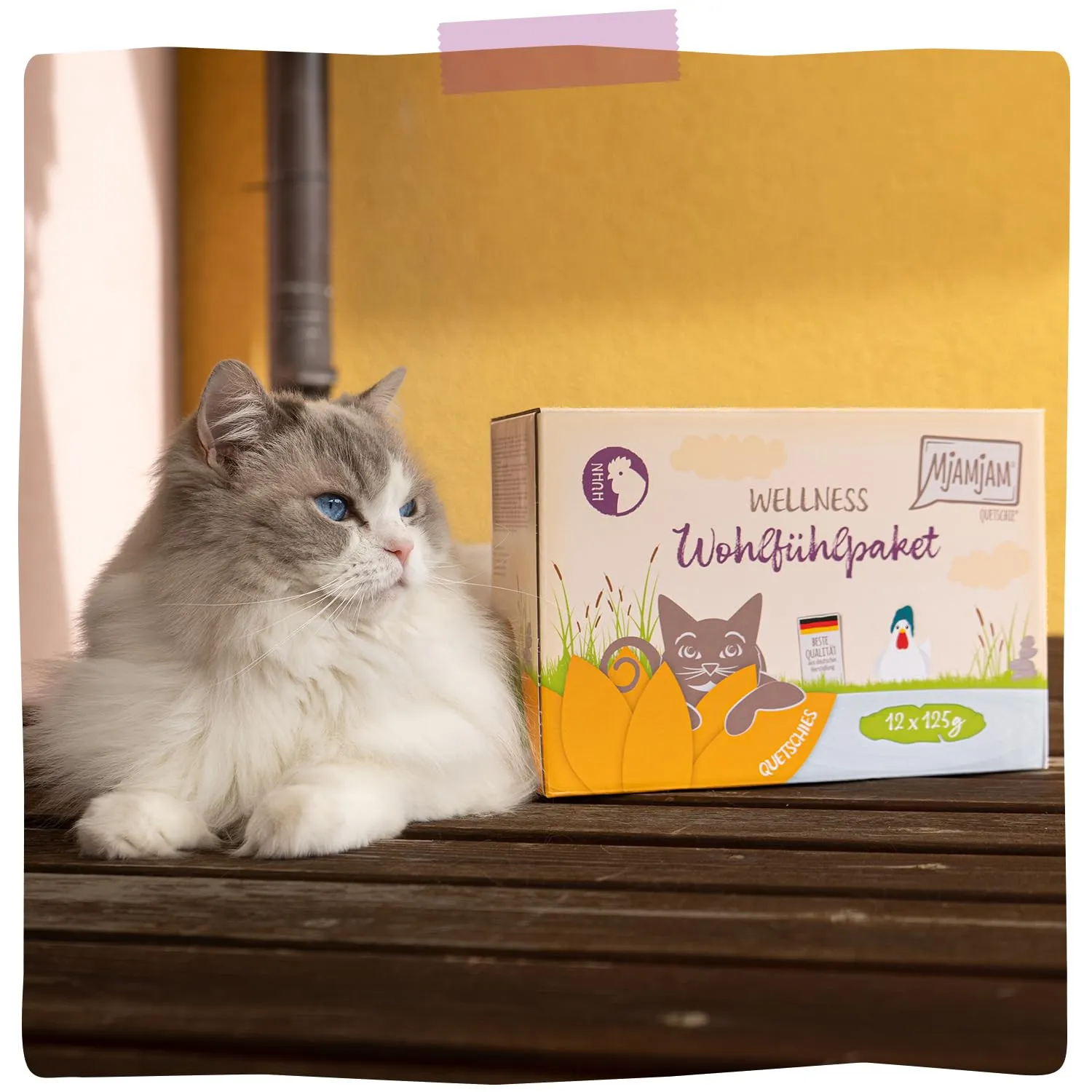 MjAMjAM - Cibo umido premium per gatti - Wellness Wellness Pack pollo, confezione da 12 (12 x 125g), senza cereali con carne extra - immagine 7