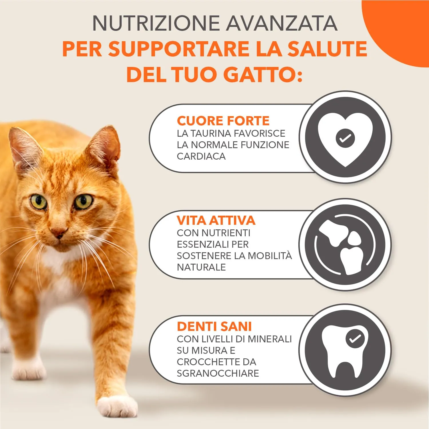 IAMS Senior - Cibo secco per gatti anziani con tonno, 10 kg - immagine 4