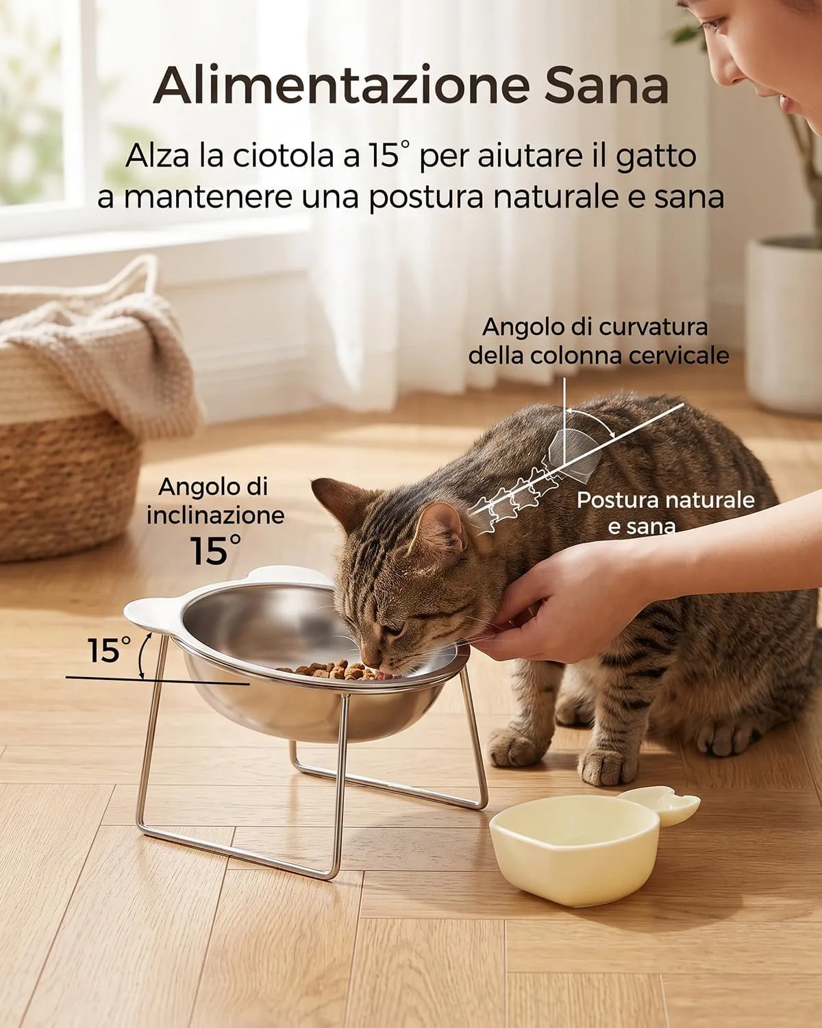 Ciotole Per Gatti Binggee Rialzata,Ciotole Rialzate per Gatti - immagine 4