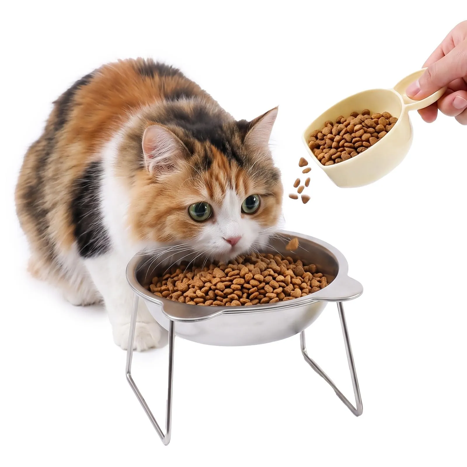 Ciotole Per Gatti Binggee Rialzata,Ciotole Rialzate per Gatti - immagine 8