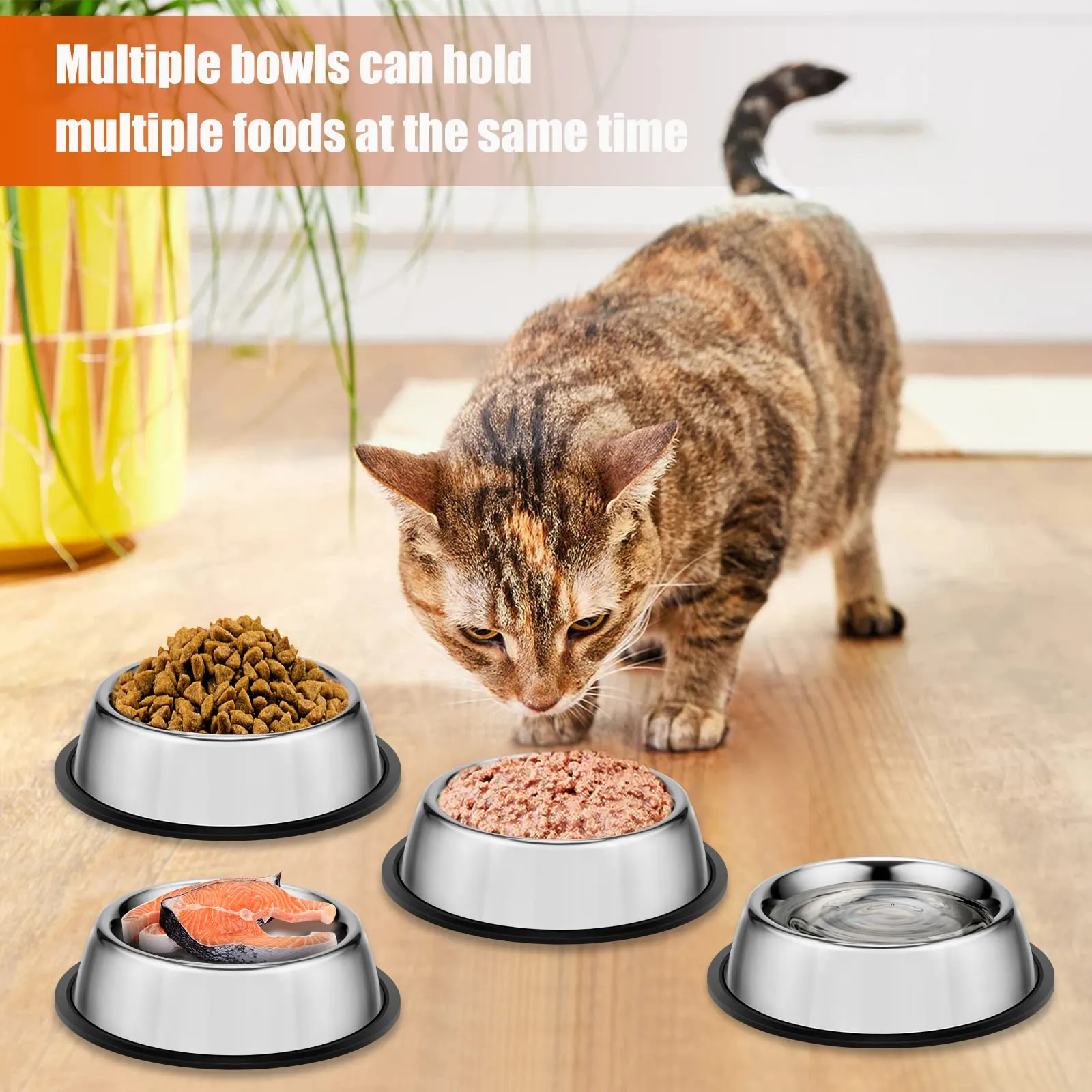 4 Ciotole per Gatti + Giochi per Gatti,Ciotola per Gatti,Ciotole Gatto,Ciotole Gatti,Ciotola Gatti,Ciotola Anti Ingozzamento Gatti - immagine 6