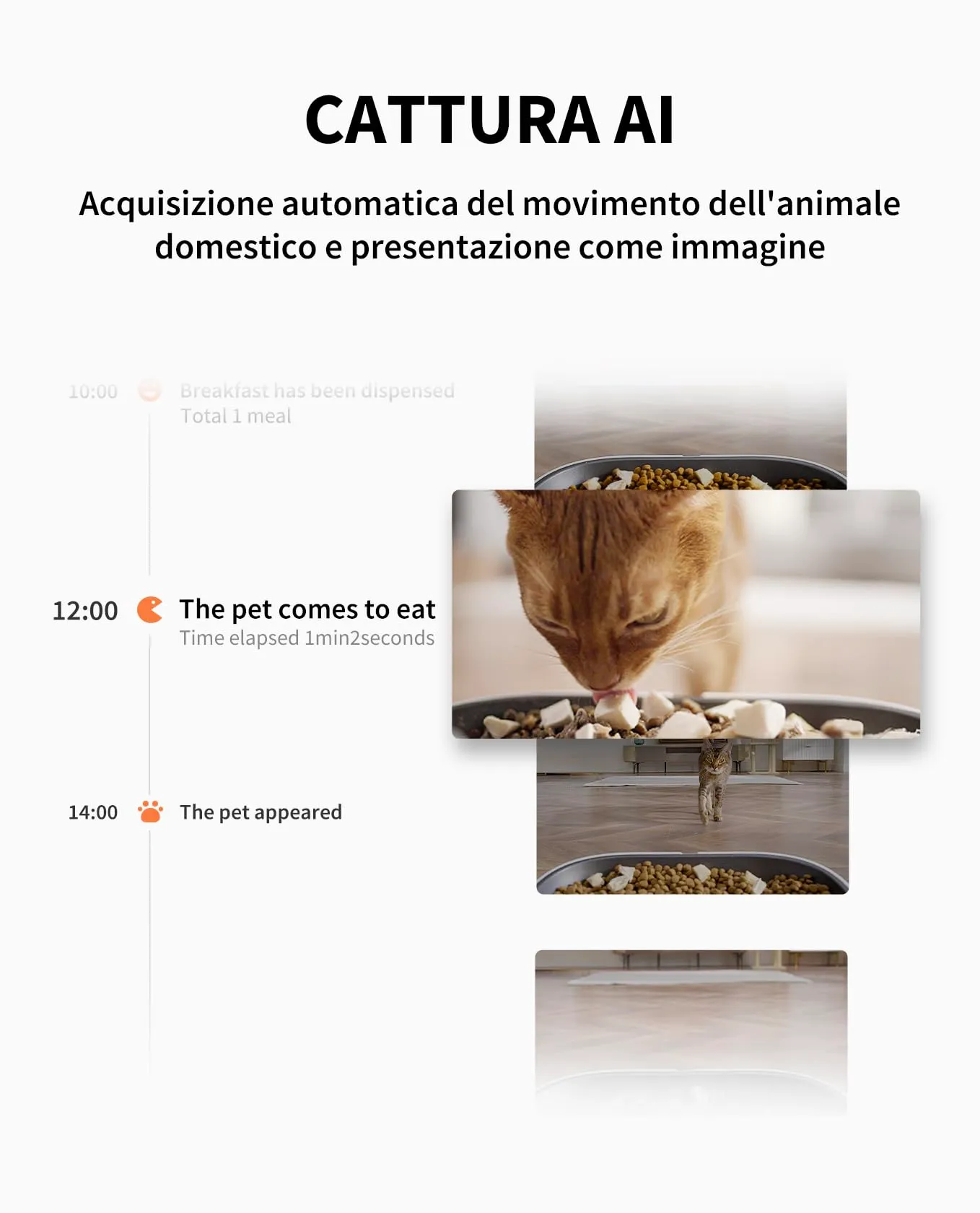 PETKIT Distributore Automatico Cibo per Gatti e Cani 5L con Telecamera HD 1080P, WiFi 2.4G, Fino a 10 Pasti al Giorno, 1-30 Porzioni, Ciotola in Acciaio Inox - immagine 3