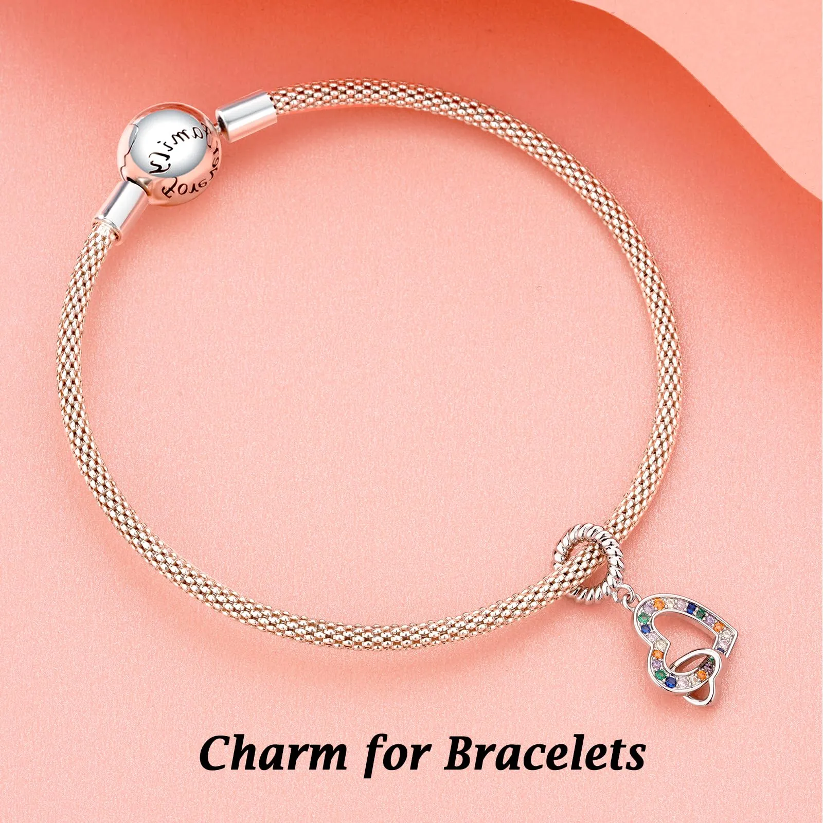 Annmors Ciondolo Argento Sterling 925 Charm Bead Compatibile Bracciale e Collane Europei Double Hearts Perline zirconi 5A Natale,San Valentino,festa della mamma,ciondoli regalo per donne e ragazze - immagine 3