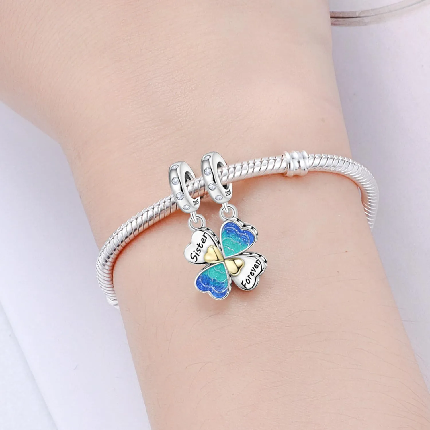 SOUTHPLUS Ciondoli Argento Sterling 925 con Cubic Zirconia Pendenti,Charms per Bracciali,con Braccialetti e Collane Europei, Perfetto Regali per Moglie e Ragazze (Friendship) - immagine 5