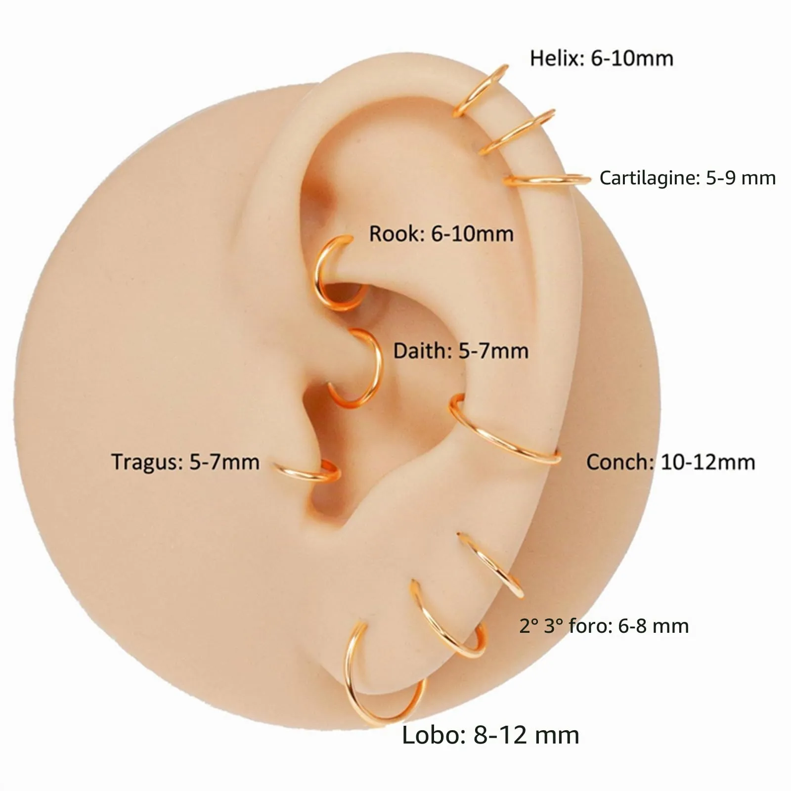 DAILI - Orecchini a cerchio piccoli placcati in oro 14 carati per cartilagine, elice, trago, ipoallergenici per donne e uomini, piccoli orecchini sottili in acciaio chirurgico senza fine, Piccolo - immagine 4