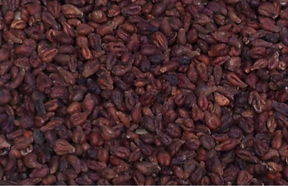 Cuscino termico - cuscino del collo, cuori rosso. Cuscino termico con semi di uva. Cuscino cervicale - immagine 7