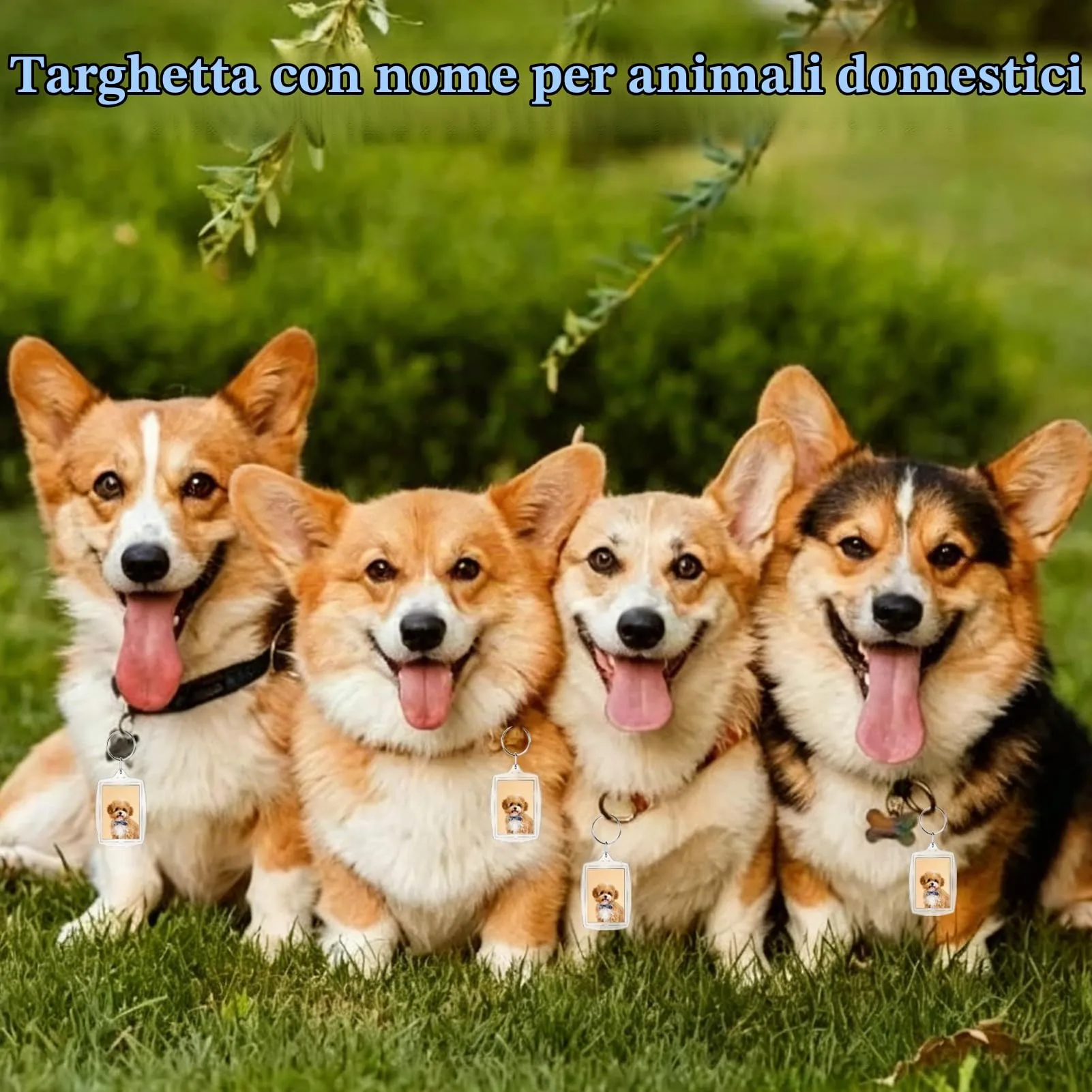 11 Pezzi Portachiavi Foto Vuoto,Portachiavi Con Inserto in Acrilico Trasparente Portachiavi Immagine Per Foto Personalizzate Fai Da Te Per Amici Di Famiglia Regalo Artigianale - immagine 5