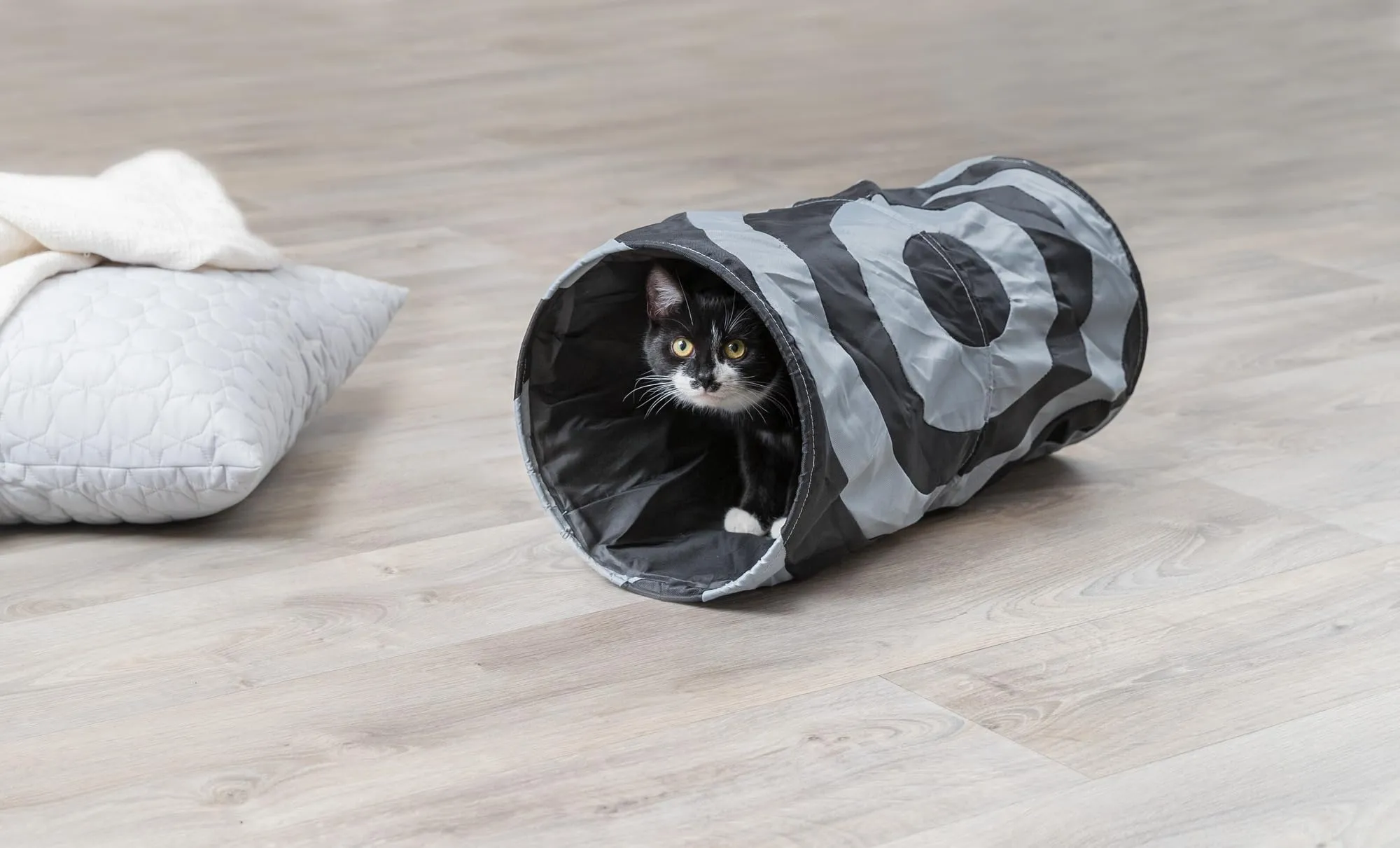 Trixie 4301 - Tunnel da Gioco in Poliestere, ø 25 x 50 cm - immagine 2